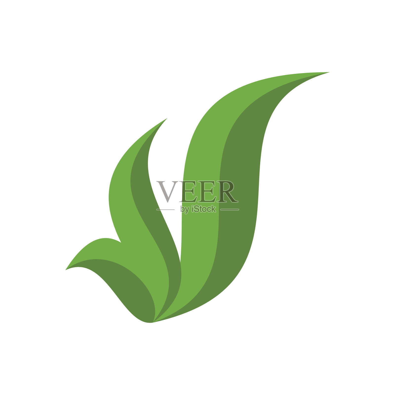 生态树叶插画图片素材