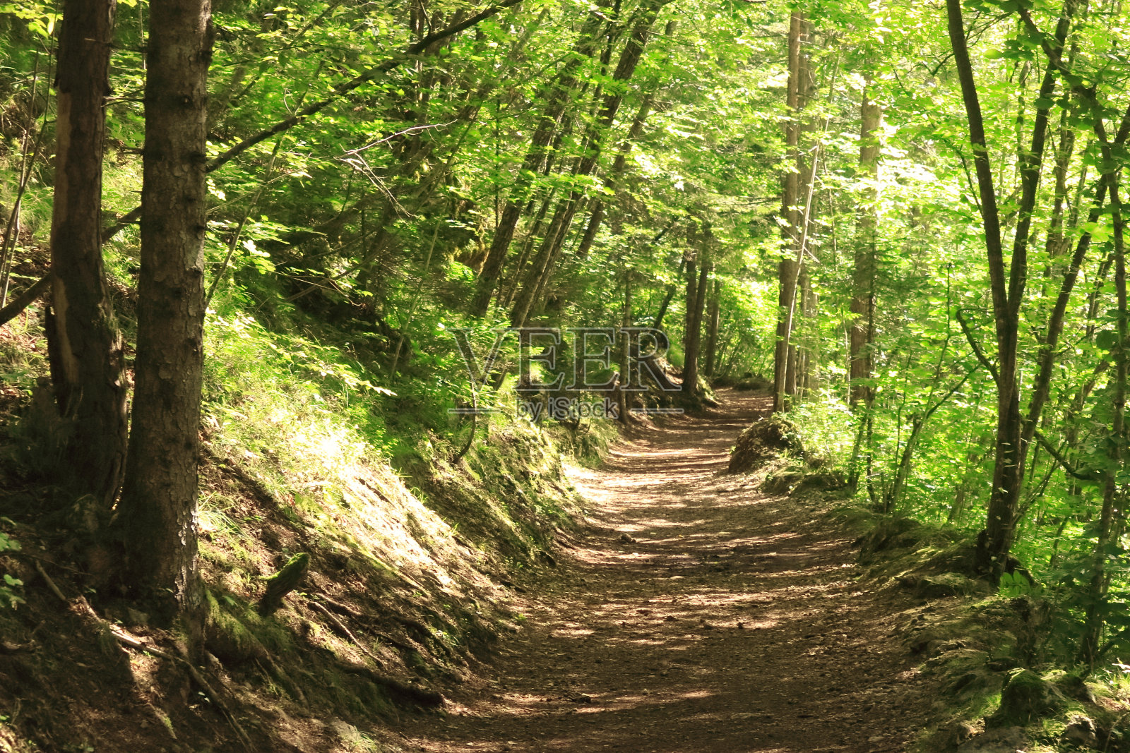 Val di Non, Trentino-Alto Adige，意大利北部照片摄影图片