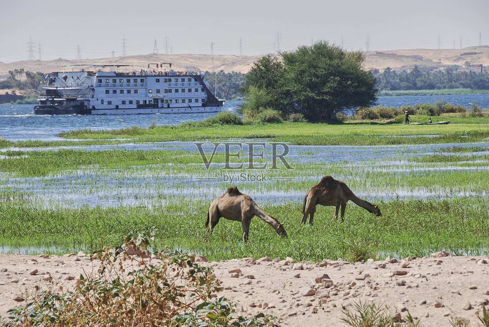埃及尼罗河奢华游轮照片摄影图片
