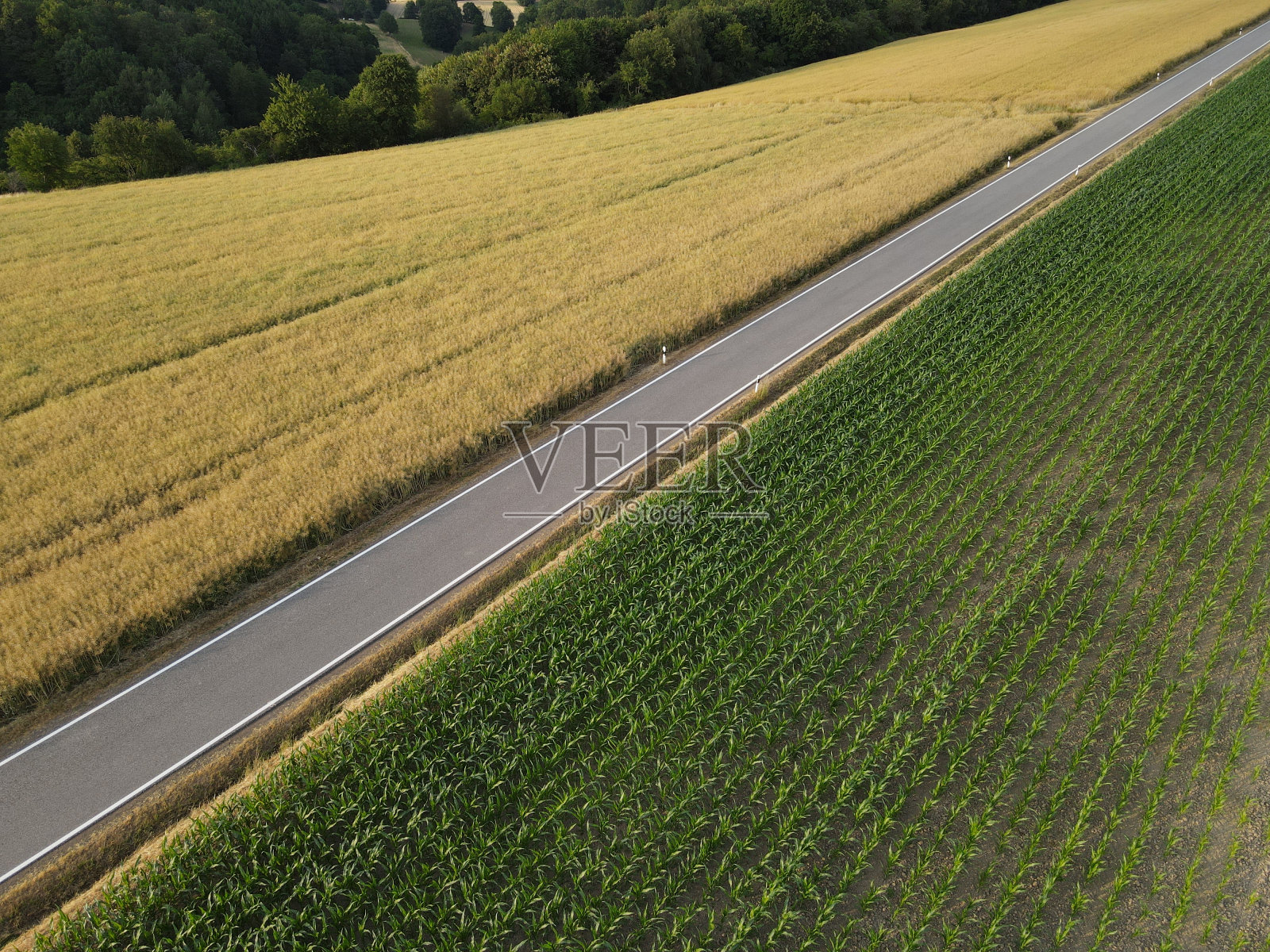 鸟瞰农田之间一条长长的乡村公路的景色照片摄影图片