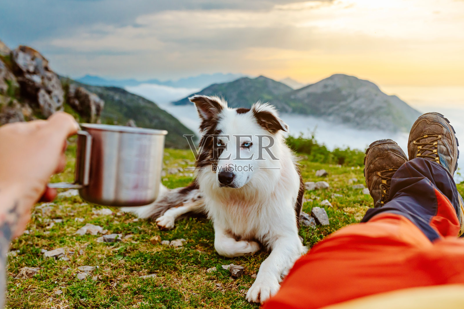 远足和带宠物旅行照片摄影图片