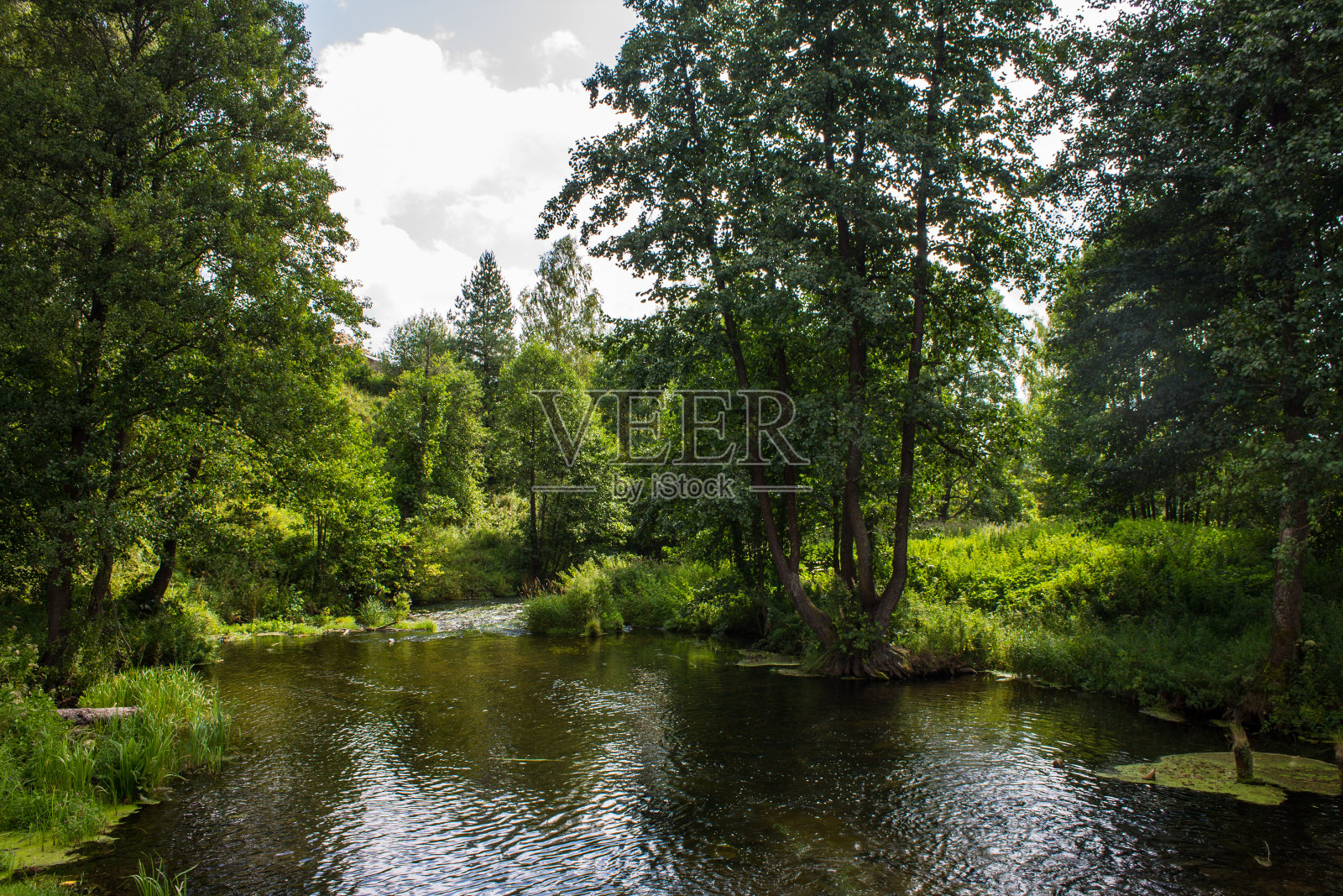 绿树成荫，绿树成荫，绿树成荫照片摄影图片