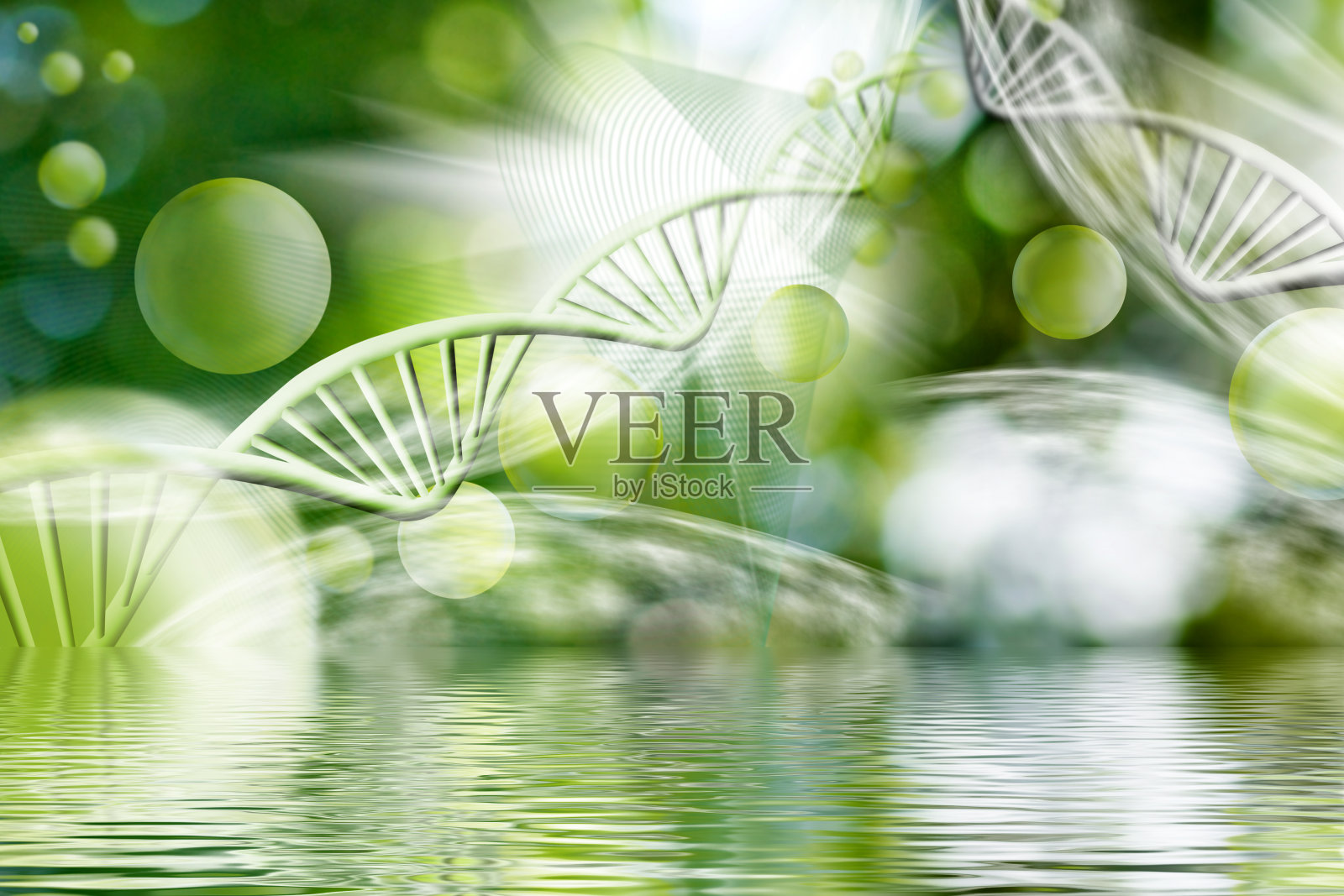 由空间中各种程式化的DNA链和球组成的图像以及所有这些在水面上的反射照片摄影图片