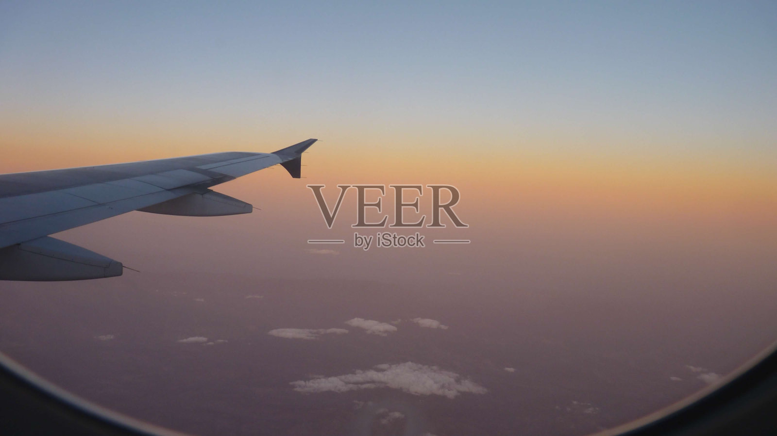 飞回家照片摄影图片