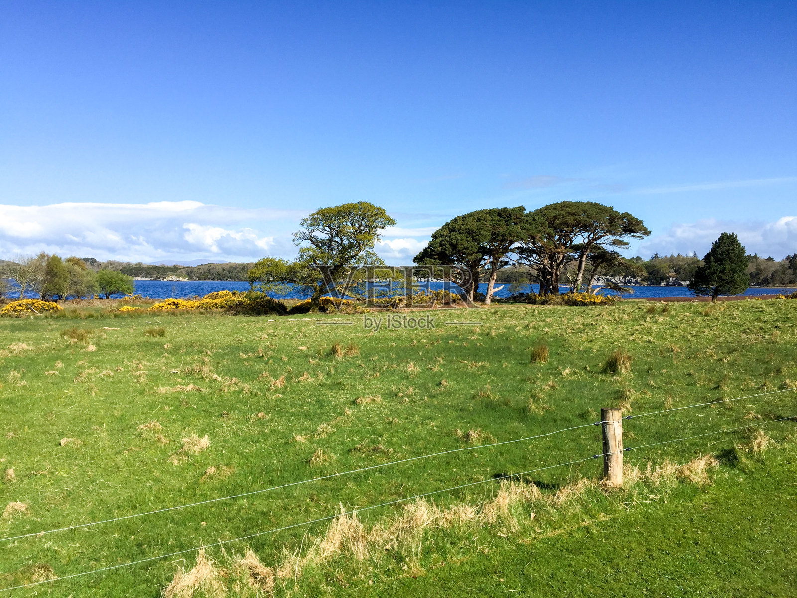 克里环和基拉尼国家公园，爱尔兰照片摄影图片