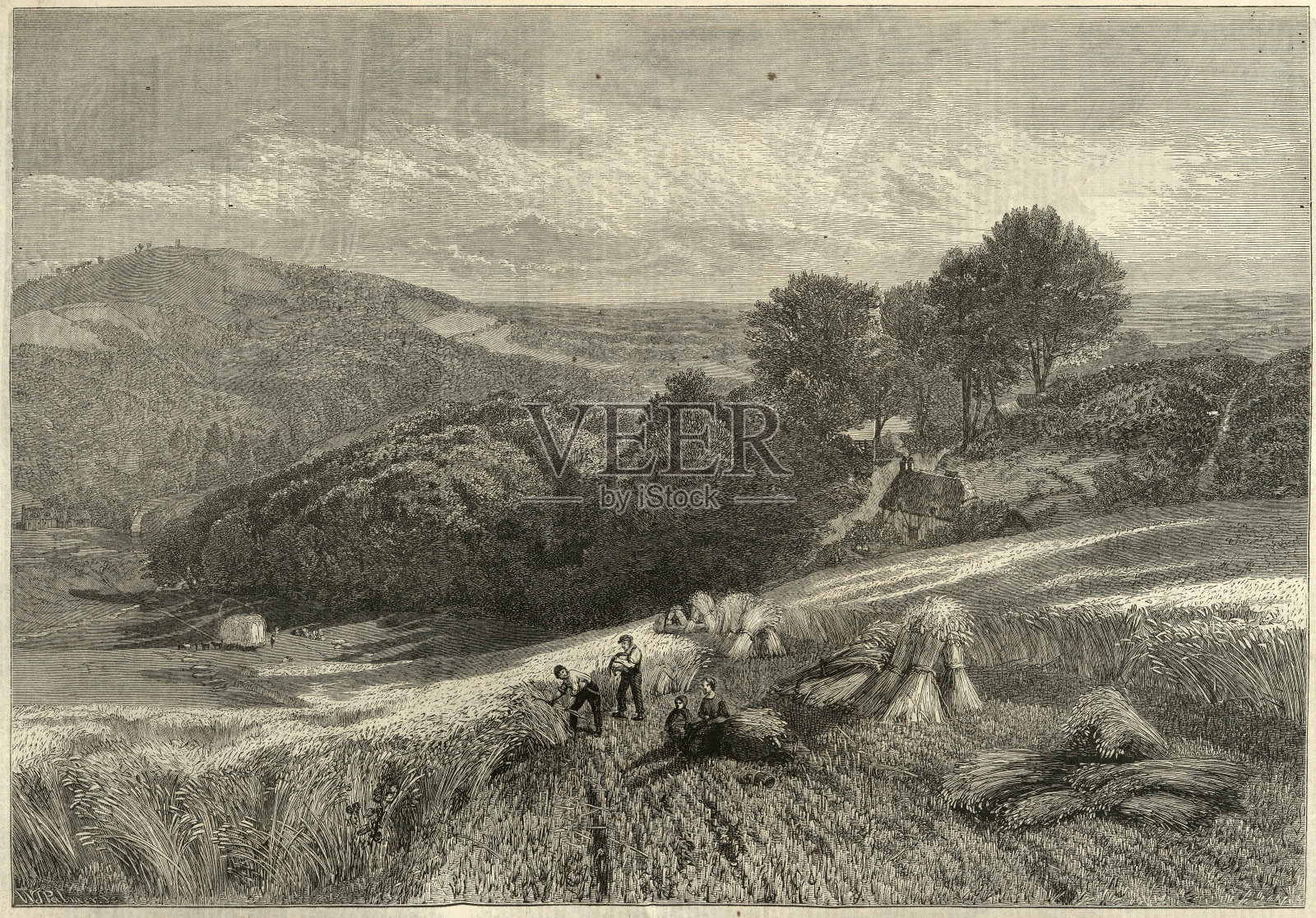 19世纪维多利亚时代的农业工人在萨里玉米地里收割庄稼插画图片素材