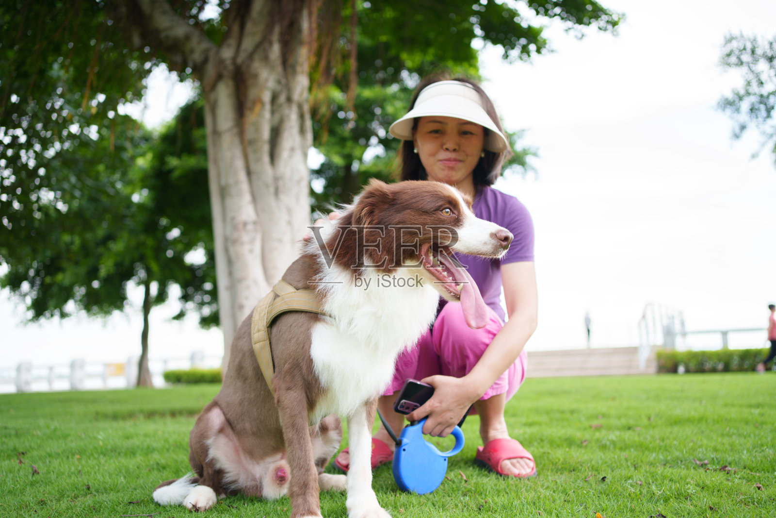 带宠物狗的女人照片摄影图片