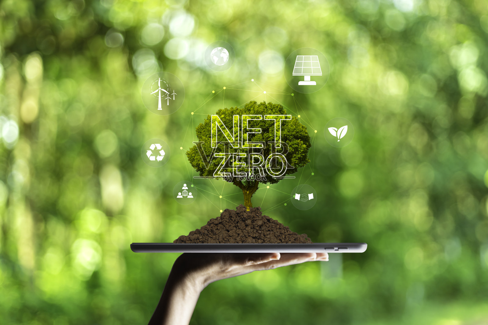 净零2050 ESG生态理念为环境、社会、可持续和道德，智能手机上的绿色之树和风生态绿色能源系统图标围绕在绿色背景上。照片摄影图片