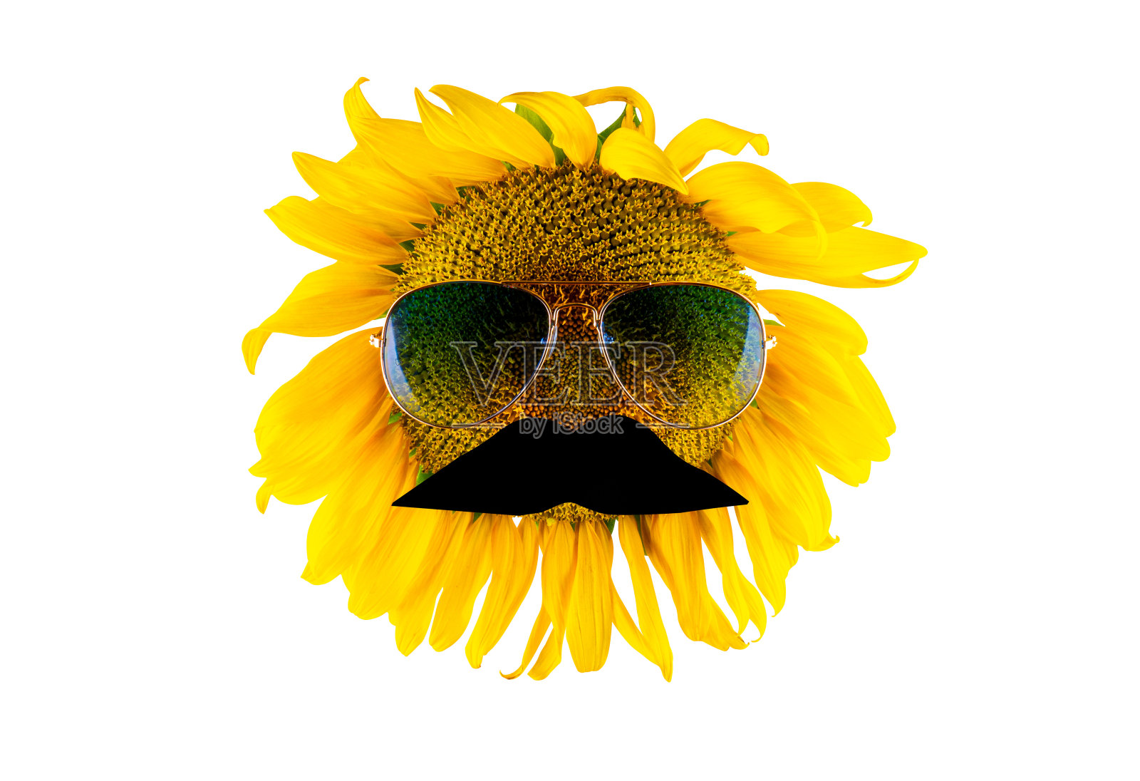 戴眼镜、留着胡子的向日葵(特写)照片摄影图片