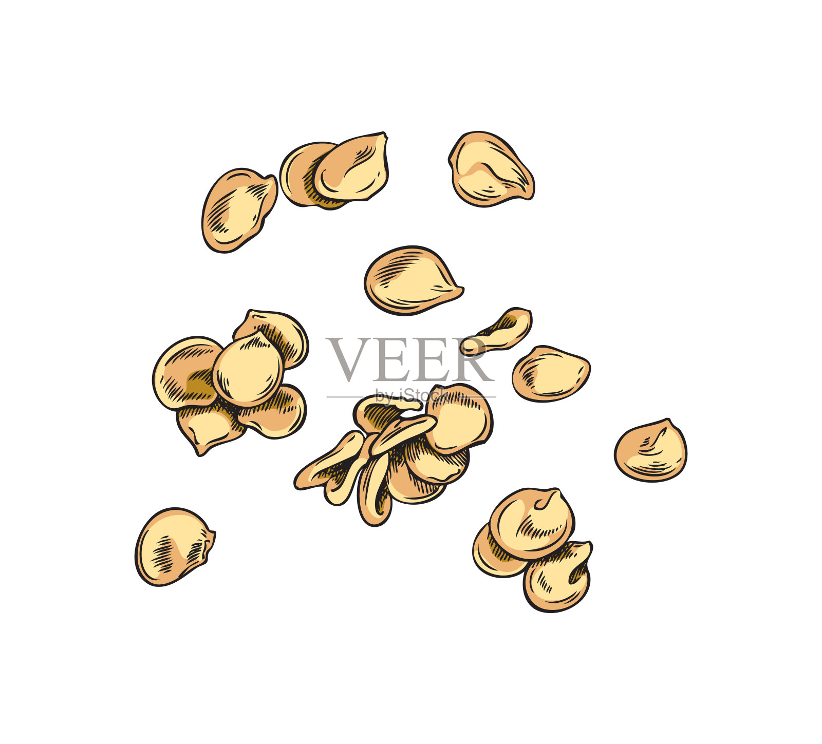 辣椒种子，手绘素描矢量插图隔离在白色背景。插画图片素材