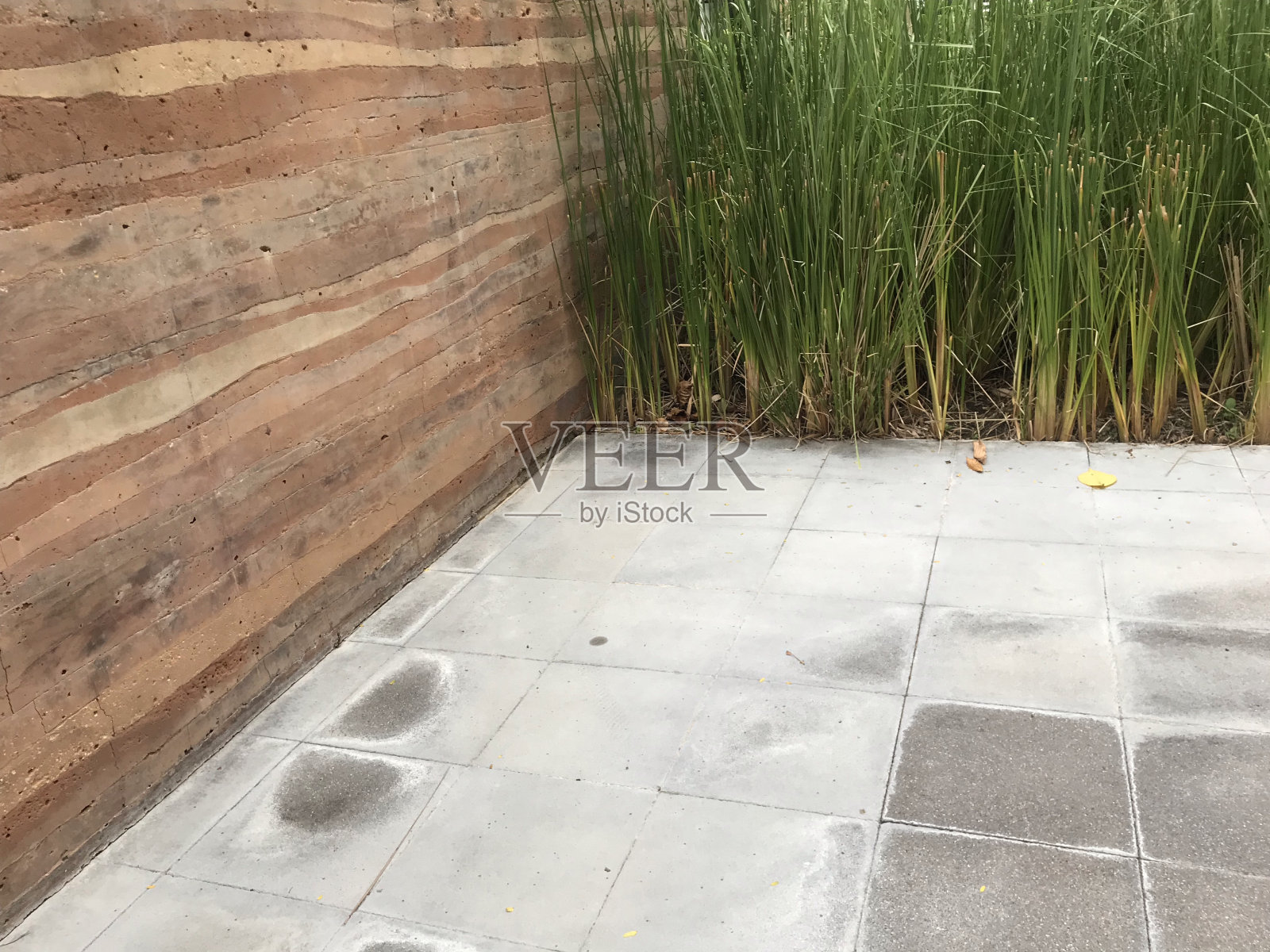 公园的角落照片摄影图片