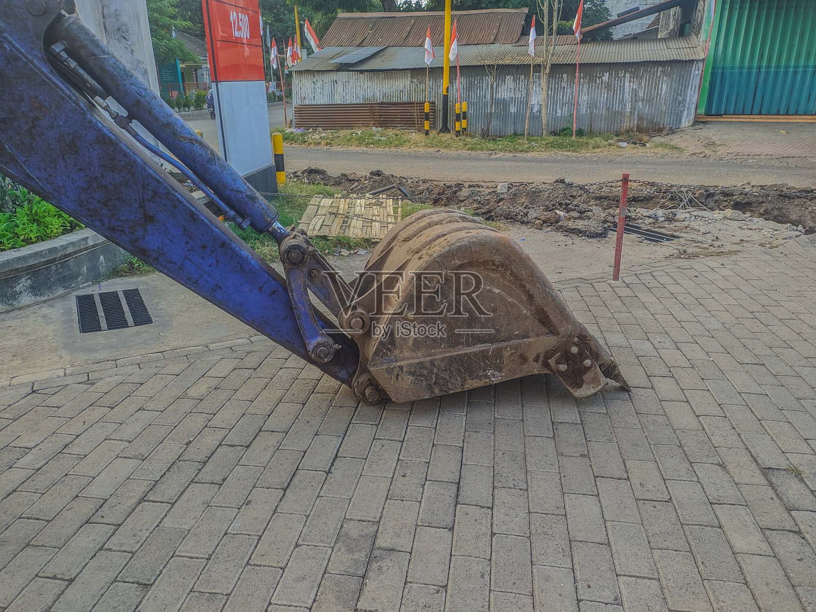 Beko的头趴在他的肚子上照片摄影图片