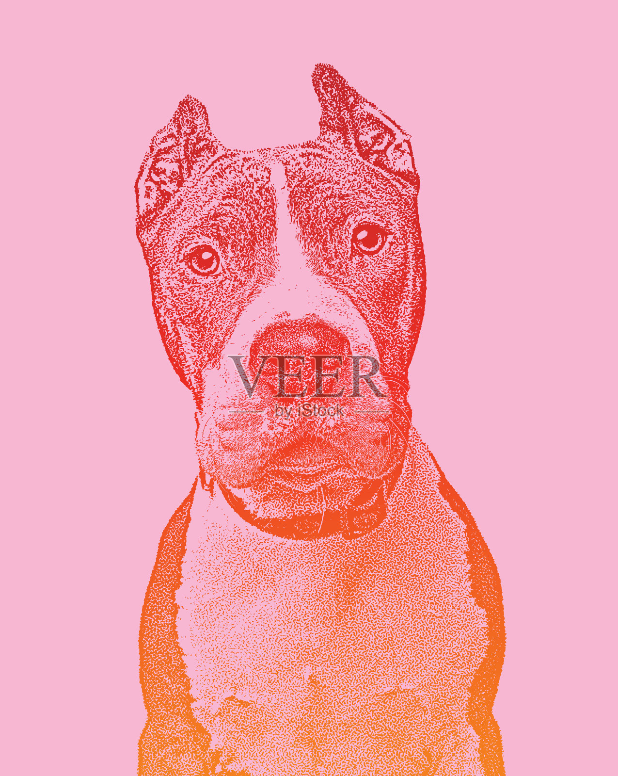 比特斗牛梗在动物收容所希望被收养插画图片素材