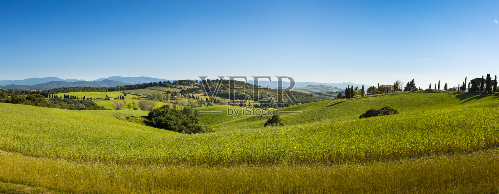 意大利托斯卡纳沃尔泰拉附近的托斯卡纳起伏的丘陵照片摄影图片