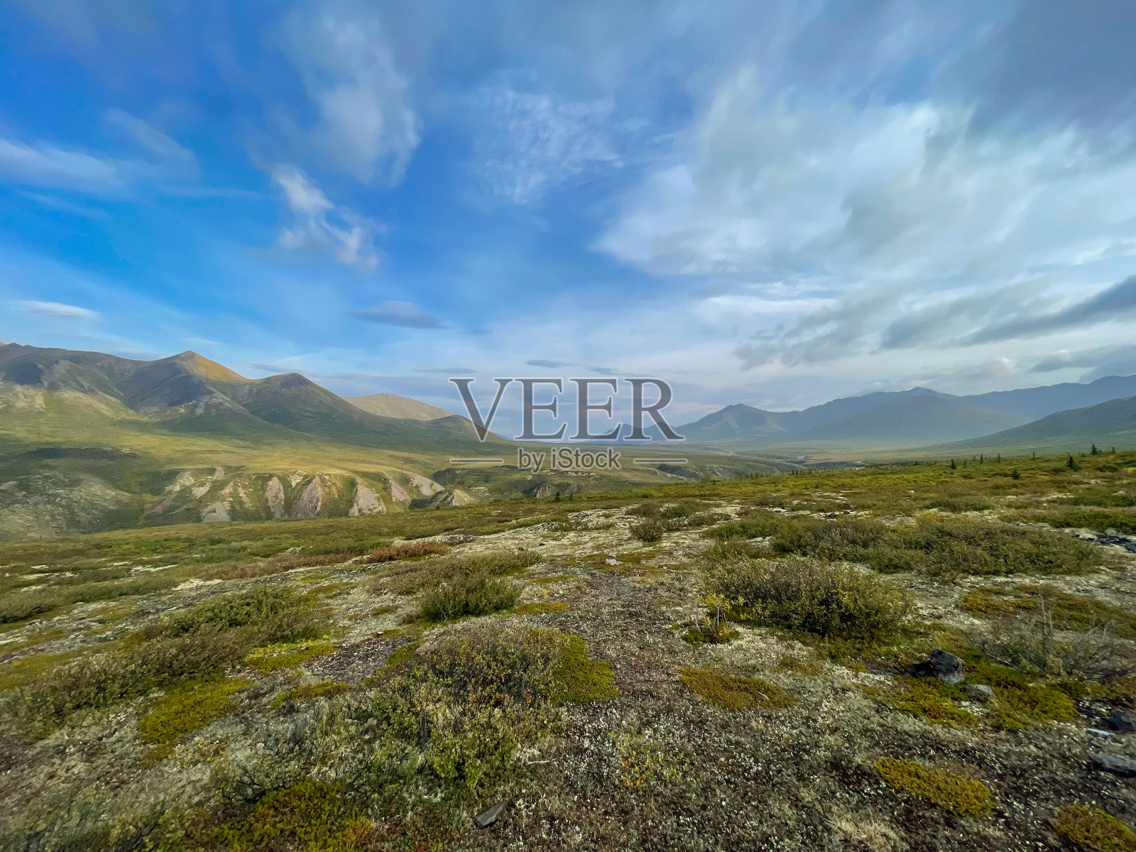 位于加拿大育空地区北纬64度的墓碑领土公园内崎岖的山脉照片摄影图片