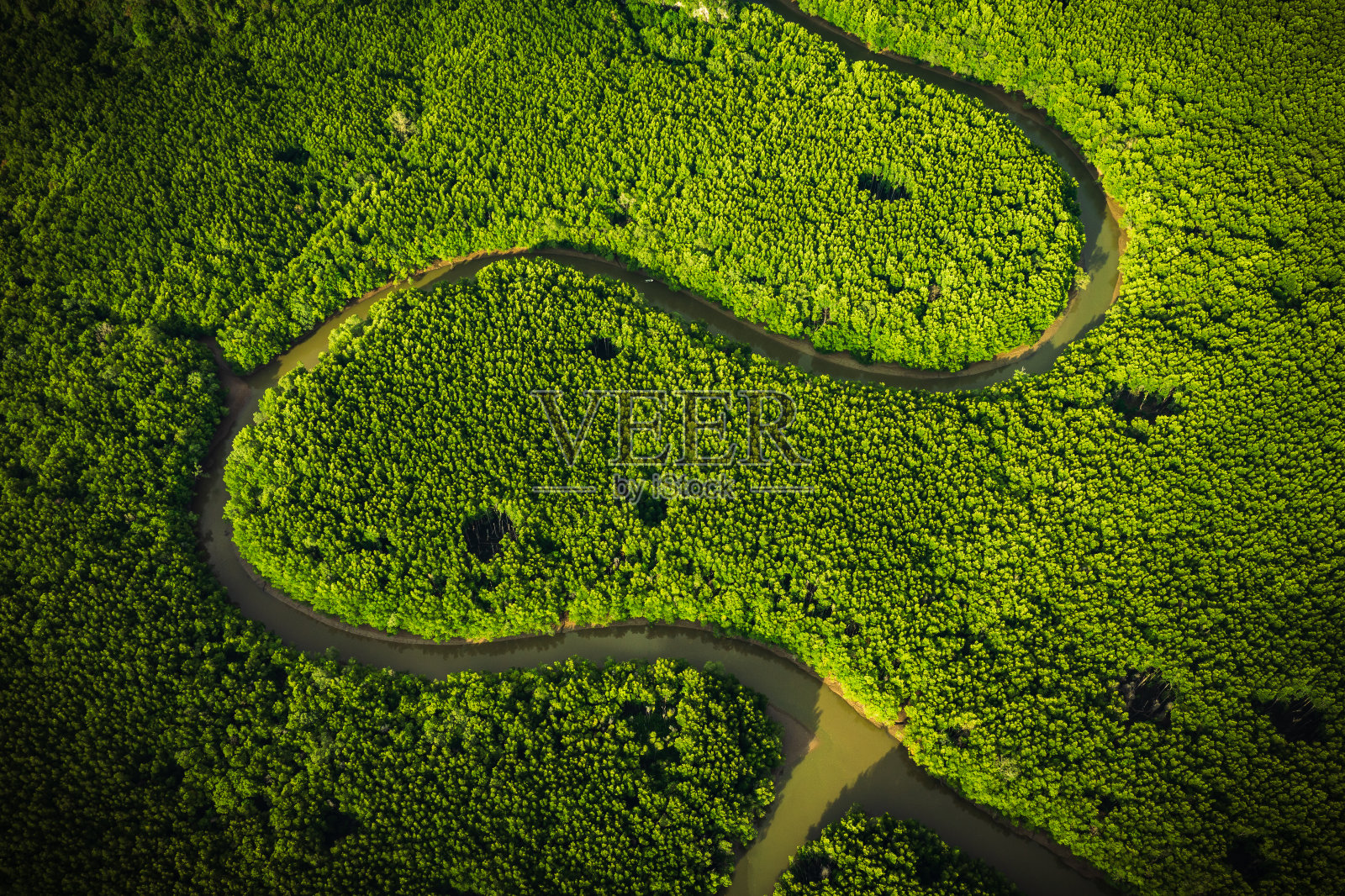 河流和绿林红树林。东南亚热带绿色森林中美丽的河流自然风光，航拍无人机拍摄。照片摄影图片