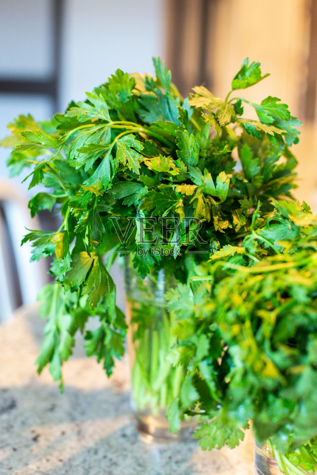 新鲜的香菜照片摄影图片