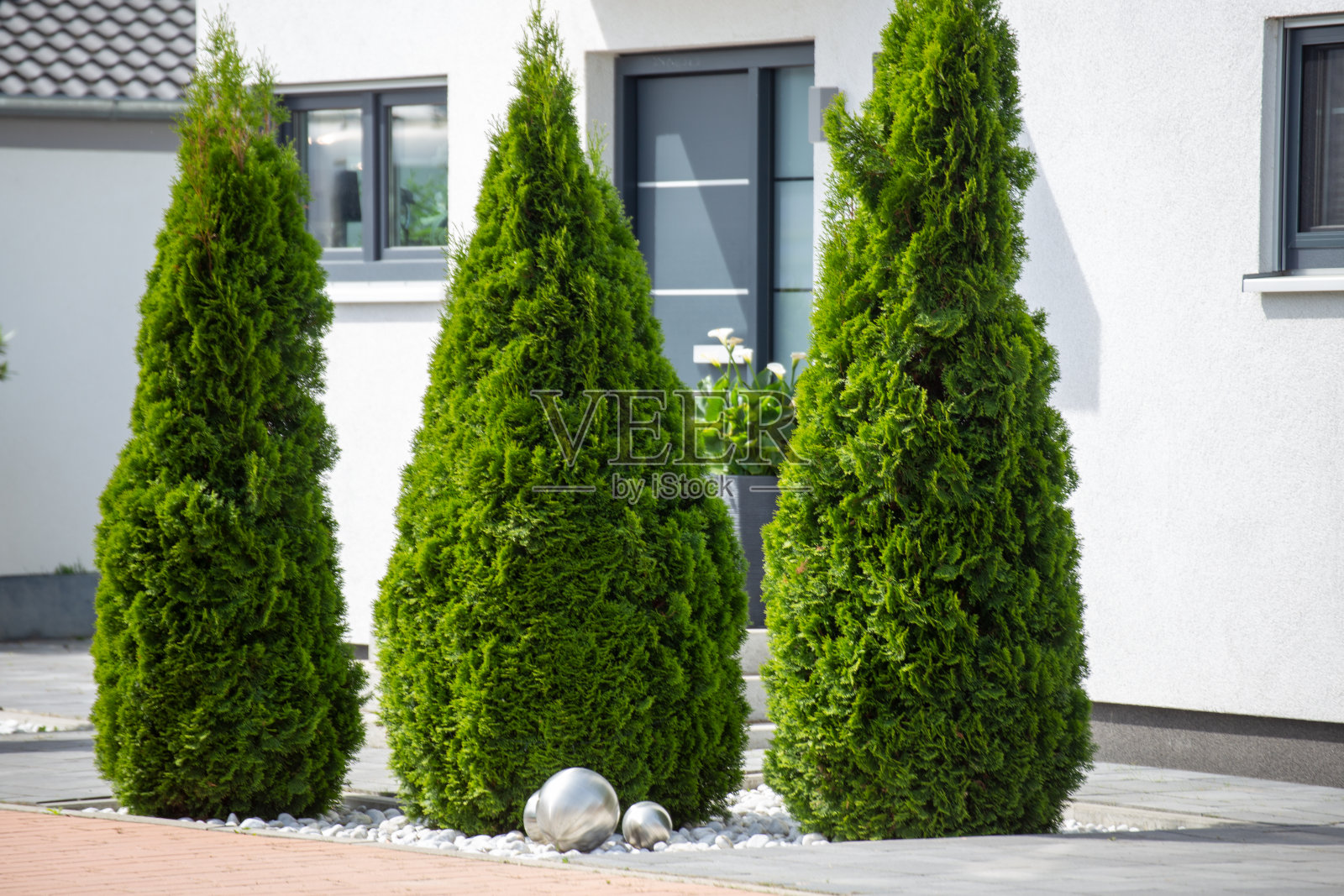 现代和保持良好的前花园与榉树照片摄影图片