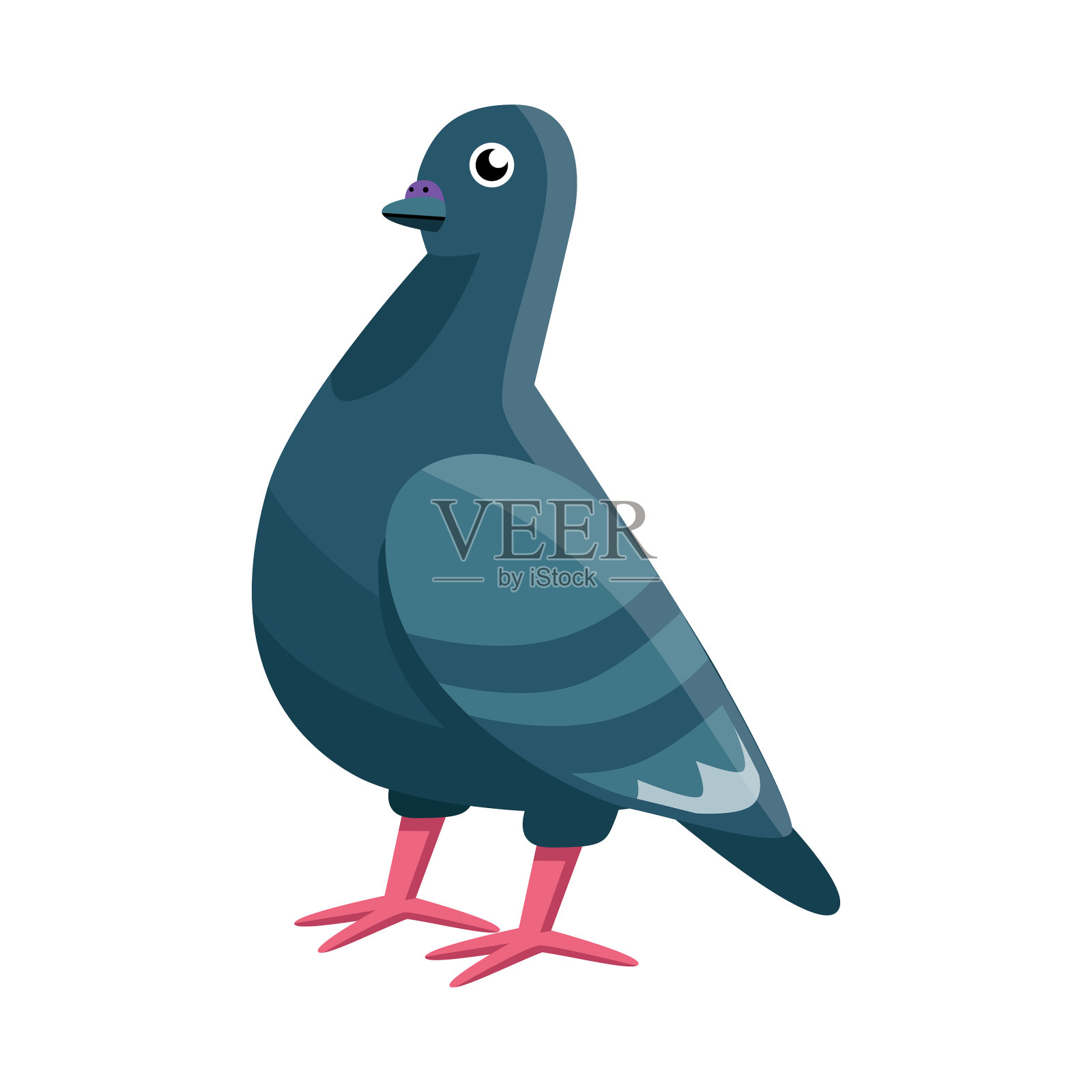 鸽子和鸟类标志收集的孤立对象插画图片素材