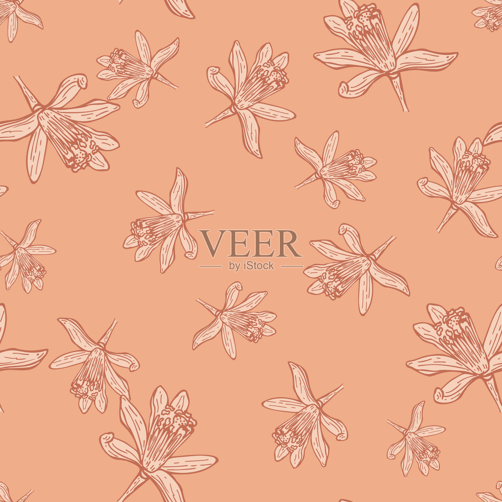 无缝图案花刻。复古背景花园花卉手绘风格。插画图片素材