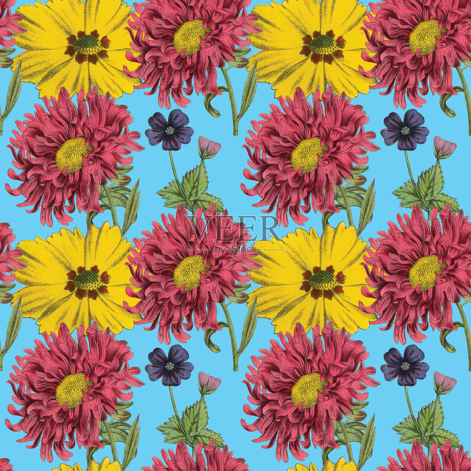 维多利亚植物，手工着色，无缝重复图案。现实的盛开孤立的花复古织物背景。美丽的村舍花园和野花。壁纸巴洛克风格。绘画雕刻。维多利亚时代的插图。插画图片素材