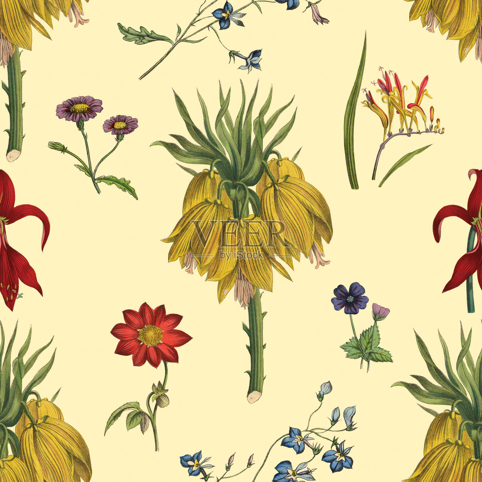 维多利亚植物，手工着色，无缝重复图案。现实的盛开孤立的花复古织物背景。美丽的村舍花园和野花。壁纸巴洛克风格。绘画雕刻。维多利亚时代的插图。插画图片素材