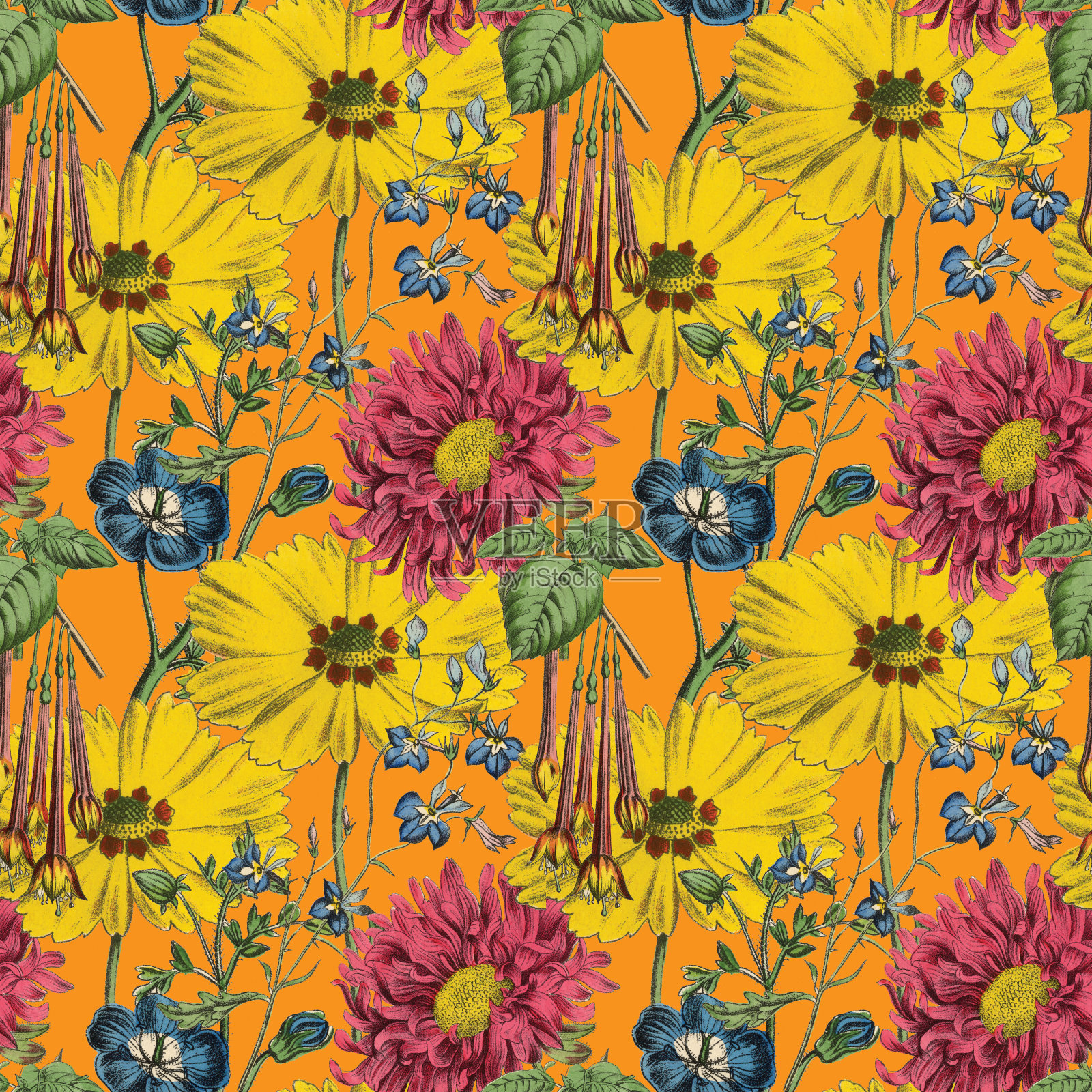 维多利亚植物，手工着色，无缝重复图案。现实的盛开孤立的花复古织物背景。美丽的村舍花园和野花。壁纸巴洛克风格。绘画雕刻。维多利亚时代的插图。插画图片素材