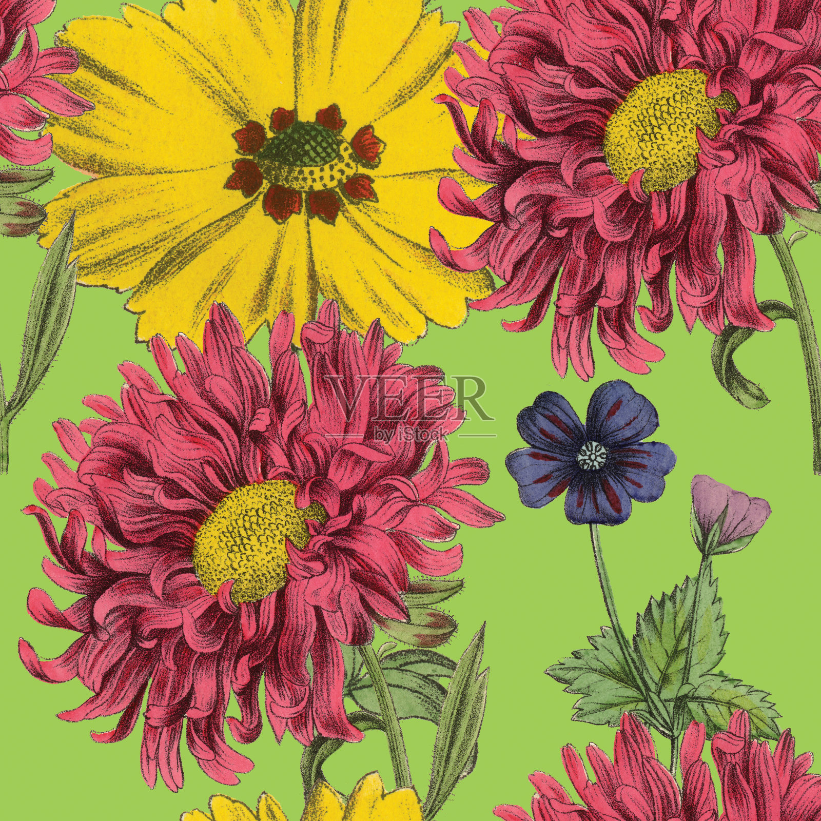 维多利亚植物，手工着色，无缝重复图案。现实的盛开孤立的花复古织物背景。美丽的村舍花园和野花。壁纸巴洛克风格。绘画雕刻。维多利亚时代的插图。插画图片素材