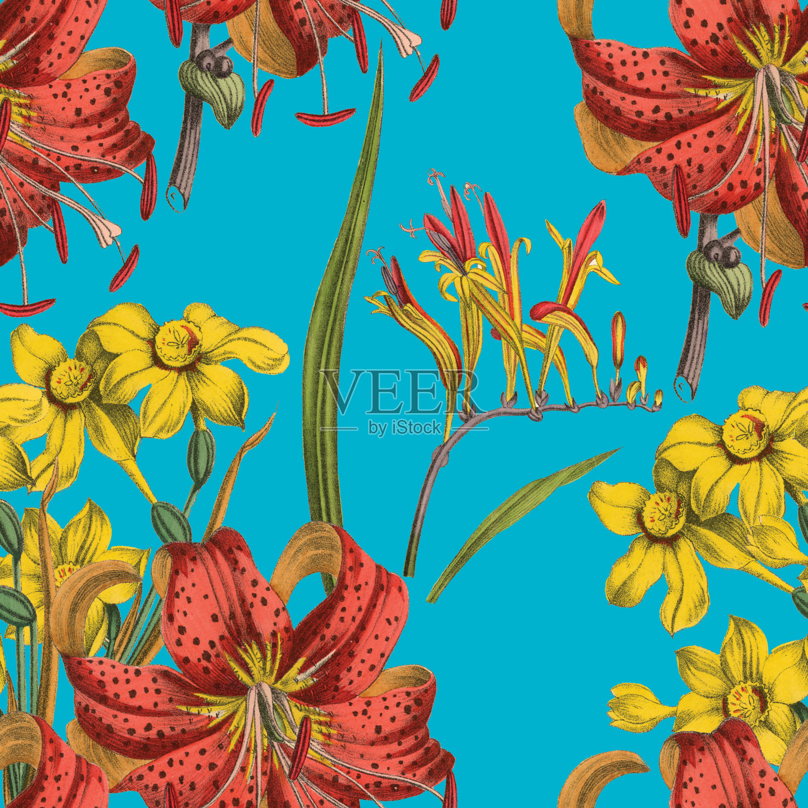 维多利亚植物，手工着色，无缝重复图案。现实的盛开孤立的花复古织物背景。美丽的村舍花园和野花。壁纸巴洛克风格。绘画雕刻。维多利亚时代的插图。插画图片素材