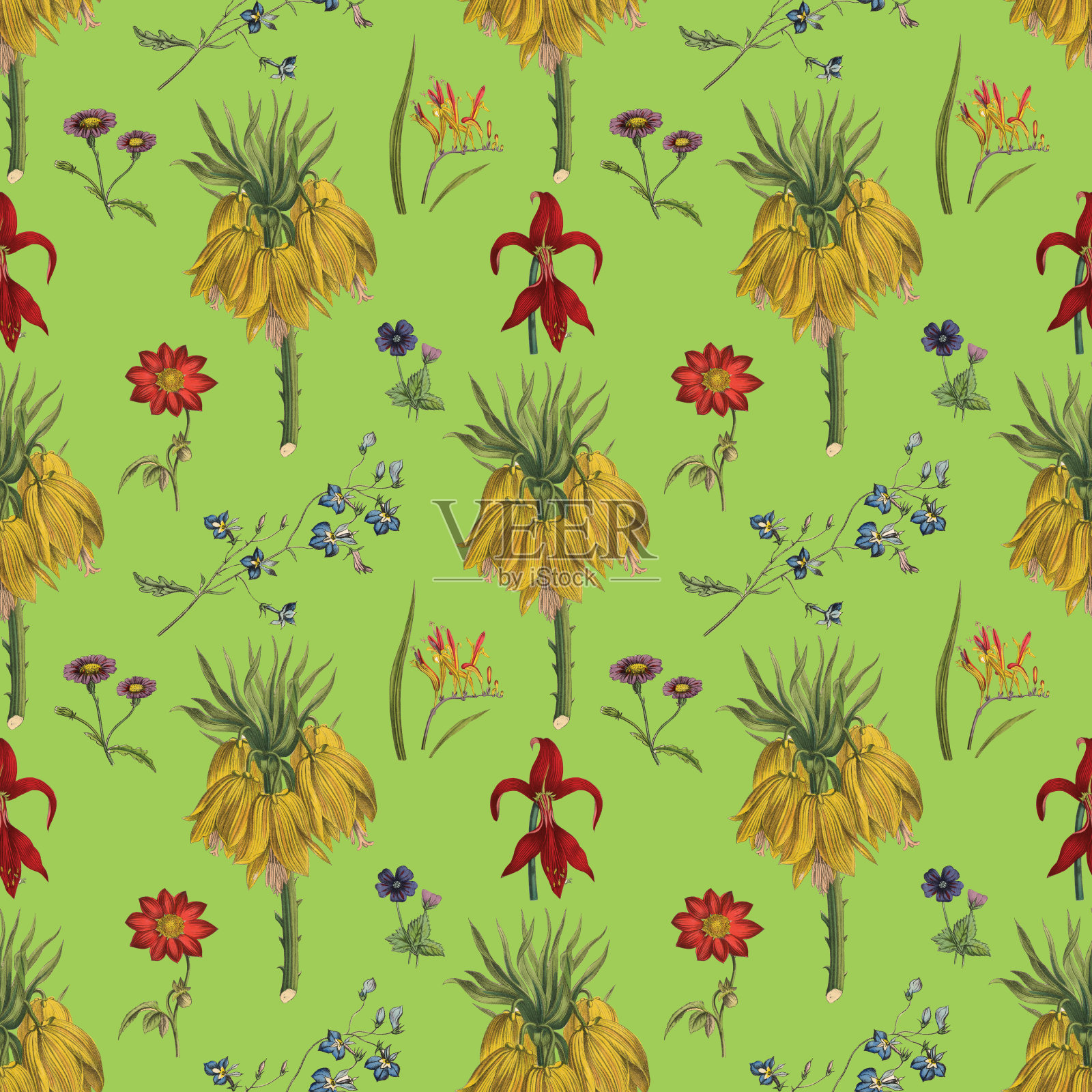 维多利亚植物，手工着色，无缝重复图案。现实的盛开孤立的花复古织物背景。美丽的村舍花园和野花。壁纸巴洛克风格。绘画雕刻。维多利亚时代的插图。插画图片素材