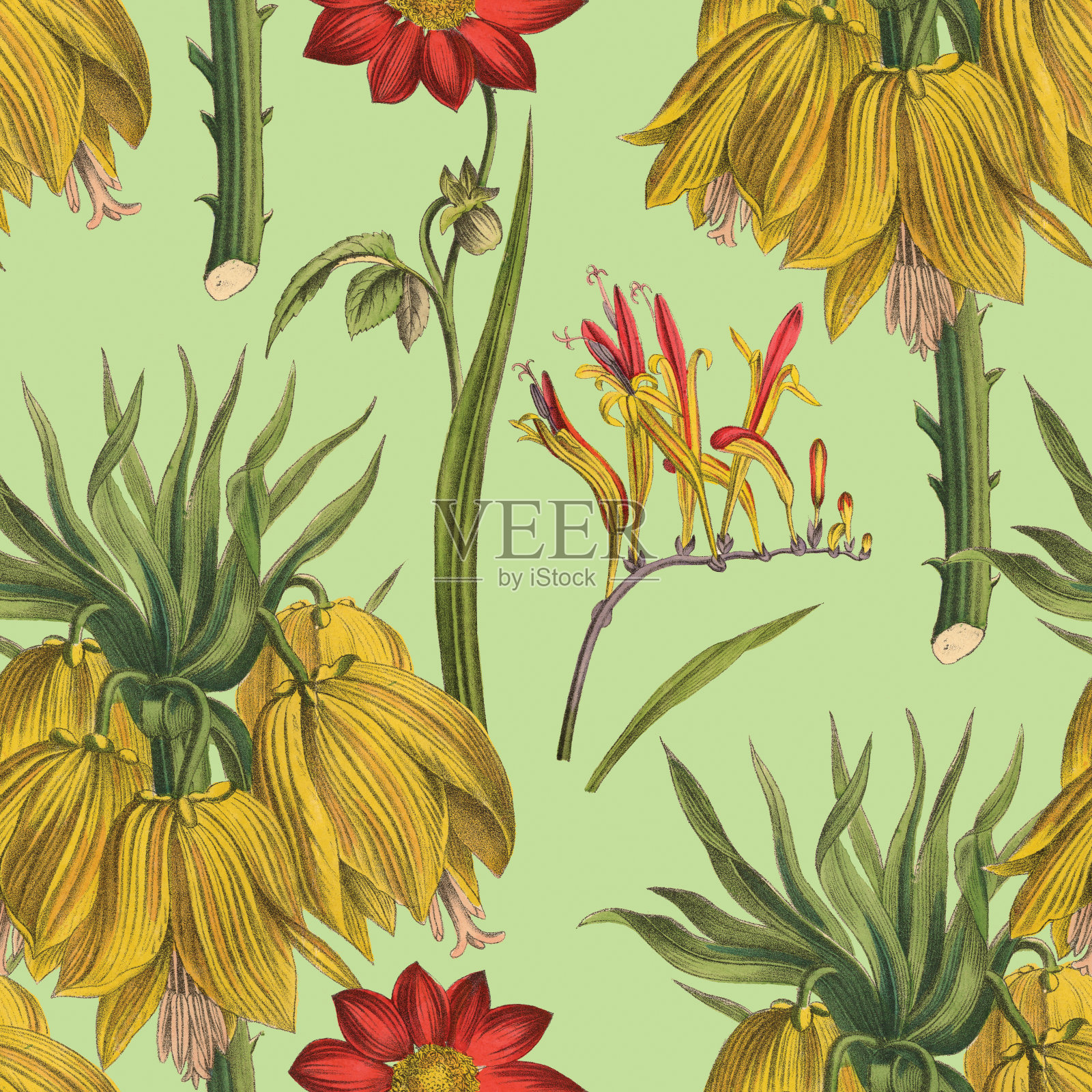 维多利亚植物，手工着色，无缝重复图案。现实的盛开孤立的花复古织物背景。美丽的村舍花园和野花。壁纸巴洛克风格。绘画雕刻。维多利亚时代的插图。插画图片素材