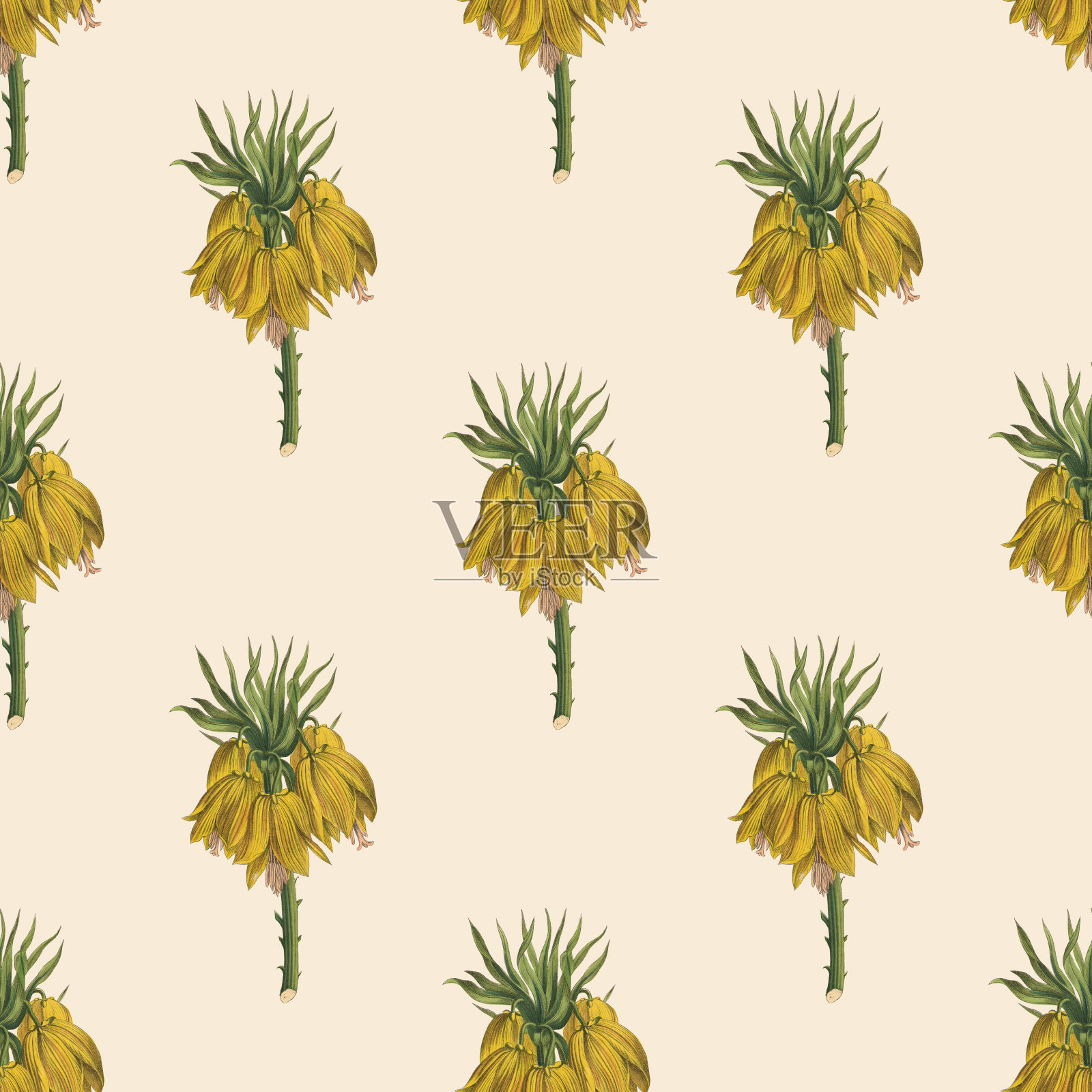 维多利亚植物，手工着色，无缝重复图案。现实的盛开孤立的花复古织物背景。美丽的村舍花园和野花。壁纸巴洛克风格。绘画雕刻。维多利亚时代的插图。插画图片素材