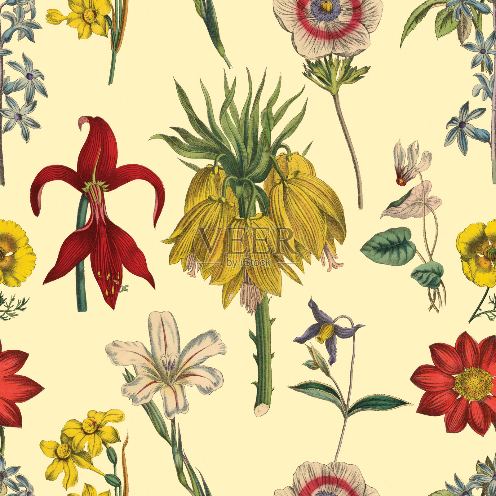 维多利亚植物，手工着色，无缝重复图案。现实的盛开孤立的花复古织物背景。美丽的村舍花园和野花。壁纸巴洛克风格。绘画雕刻。维多利亚时代的插图。插画图片素材