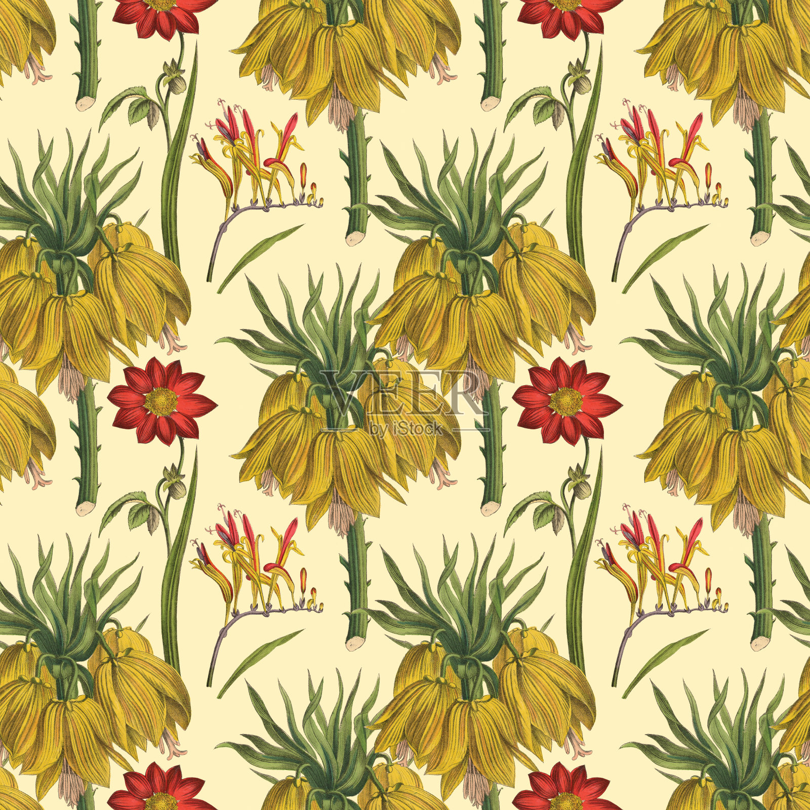 维多利亚植物，手工着色，无缝重复图案。现实的盛开孤立的花复古织物背景。美丽的村舍花园和野花。壁纸巴洛克风格。绘画雕刻。维多利亚时代的插图。插画图片素材