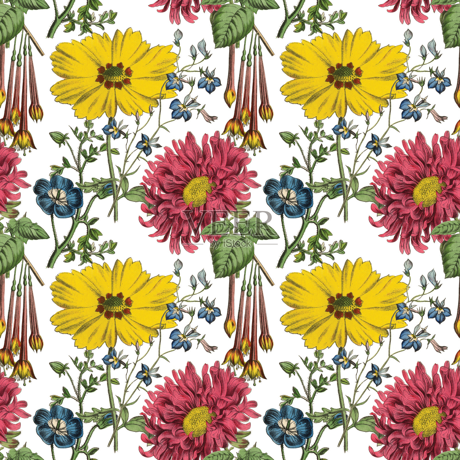 维多利亚植物，手工着色，无缝重复图案。现实的盛开孤立的花复古织物背景。美丽的村舍花园和野花。壁纸巴洛克风格。绘画雕刻。维多利亚时代的插图。插画图片素材