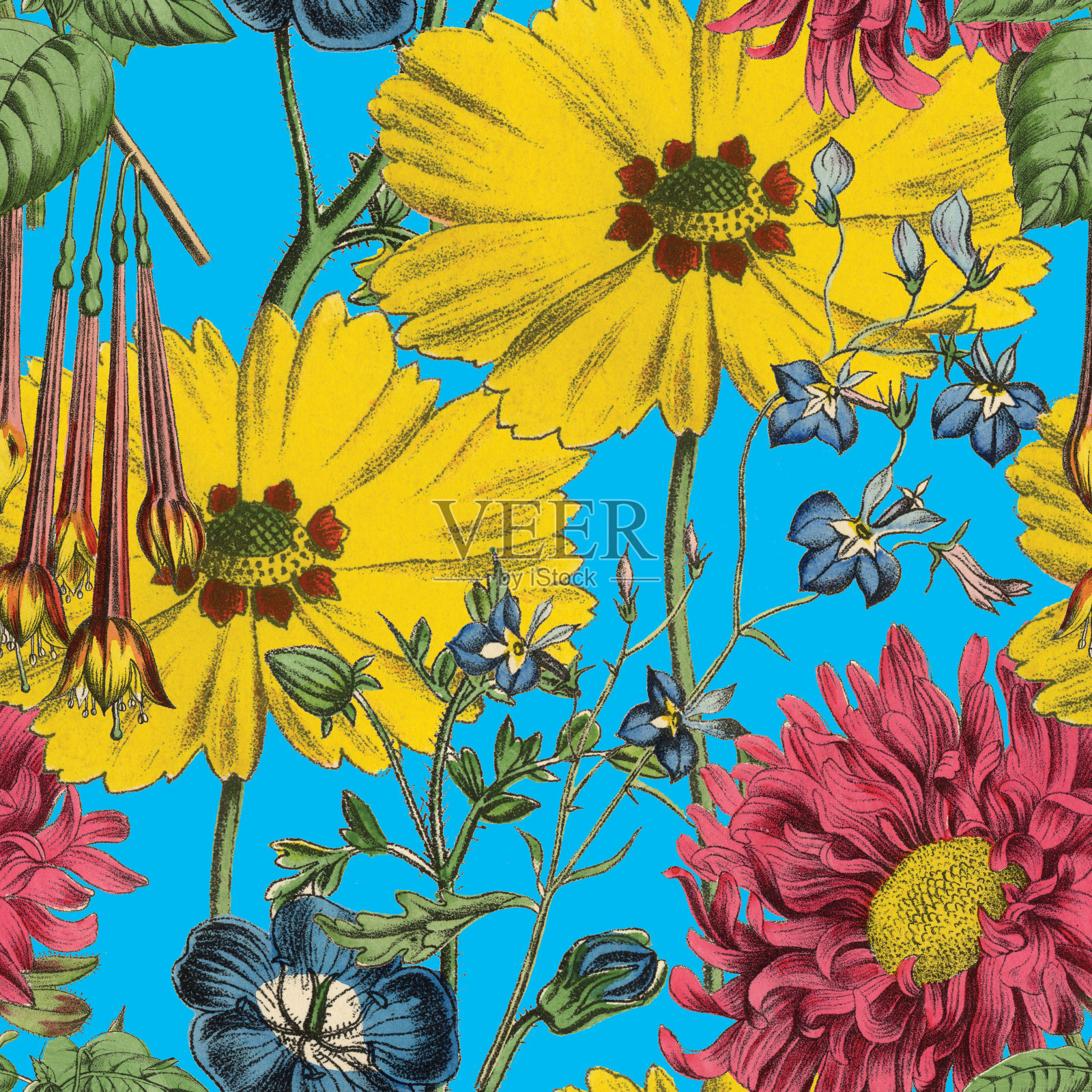 维多利亚植物，手工着色，无缝重复图案。现实的盛开孤立的花复古织物背景。美丽的村舍花园和野花。壁纸巴洛克风格。绘画雕刻。维多利亚时代的插图。插画图片素材