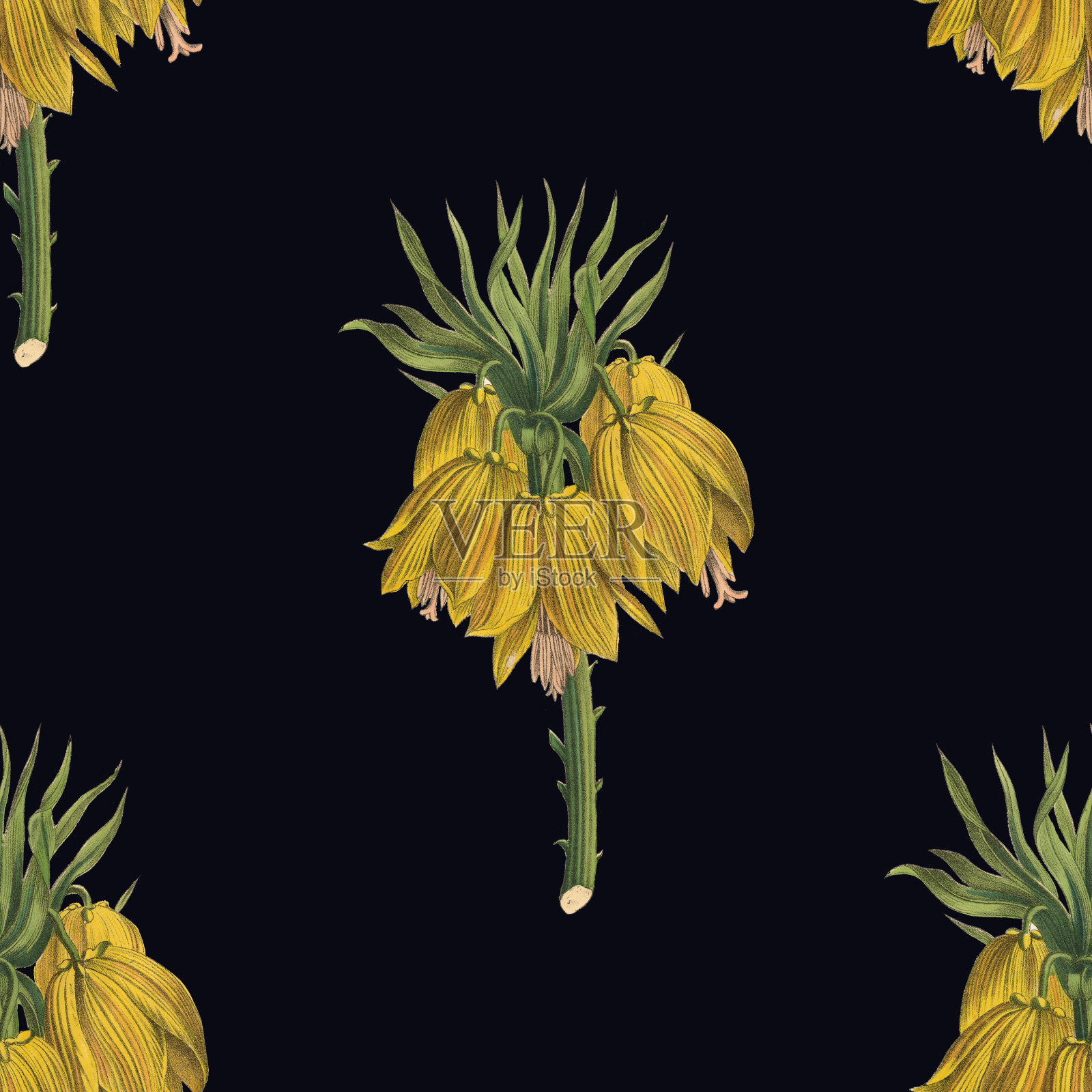 维多利亚植物，手工着色，无缝重复图案。现实的盛开孤立的花复古织物背景。美丽的村舍花园和野花。壁纸巴洛克风格。绘画雕刻。维多利亚时代的插图。插画图片素材