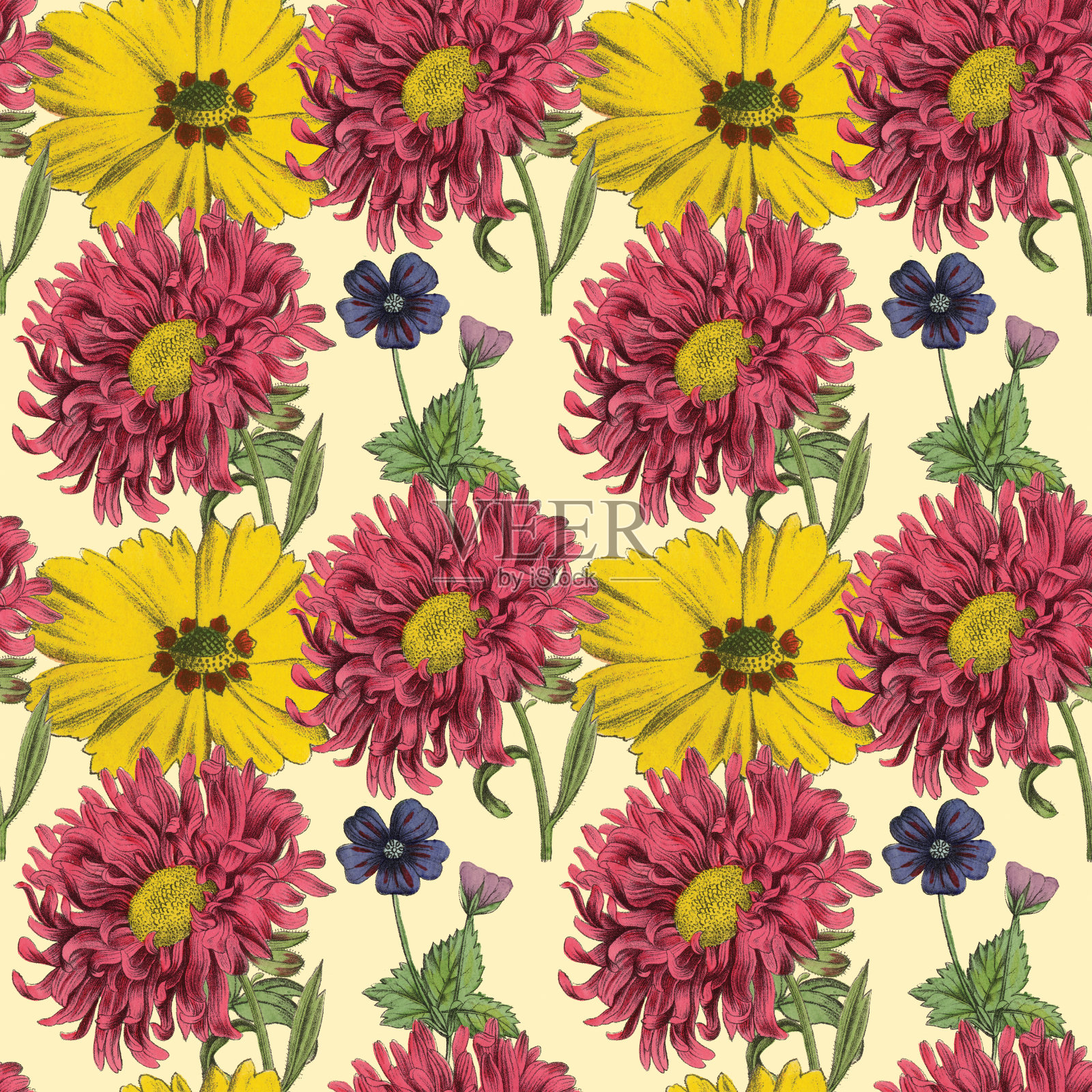 维多利亚植物，手工着色，无缝重复图案。现实的盛开孤立的花复古织物背景。美丽的村舍花园和野花。壁纸巴洛克风格。绘画雕刻。维多利亚时代的插图。插画图片素材