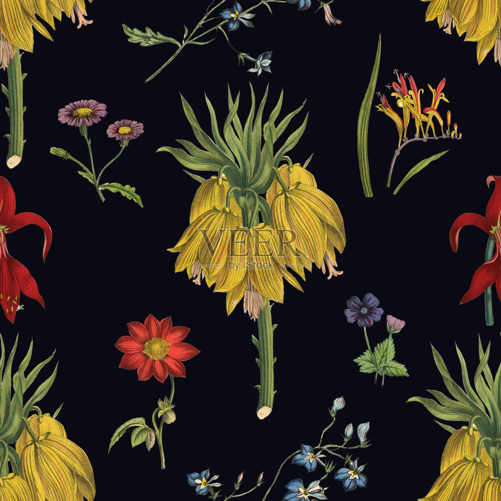 维多利亚植物，手工着色，无缝重复图案。现实的盛开孤立的花复古织物背景。美丽的村舍花园和野花。壁纸巴洛克风格。绘画雕刻。维多利亚时代的插图。插画图片素材