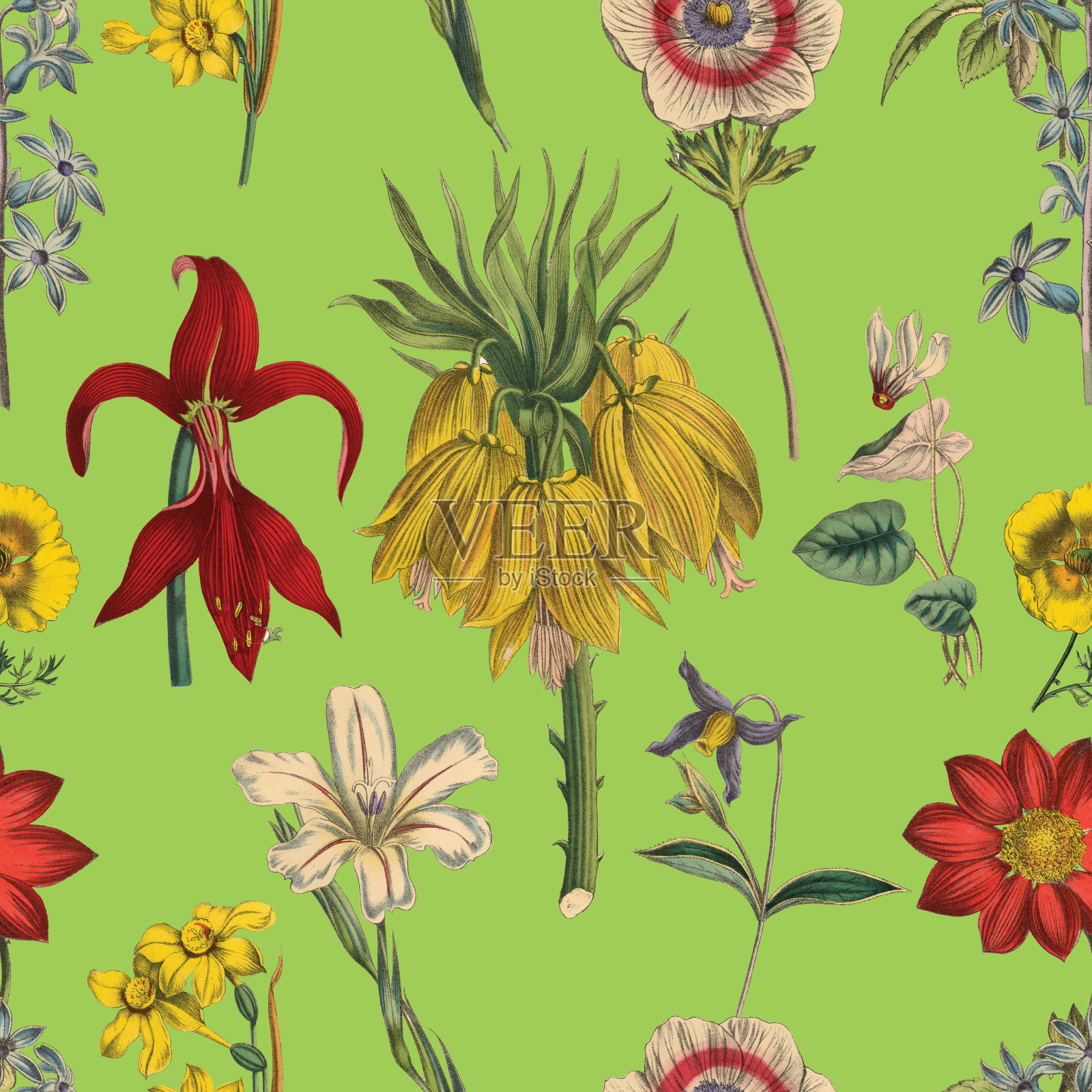 维多利亚植物，手工着色，无缝重复图案。现实的盛开孤立的花复古织物背景。美丽的村舍花园和野花。壁纸巴洛克风格。绘画雕刻。维多利亚时代的插图。插画图片素材