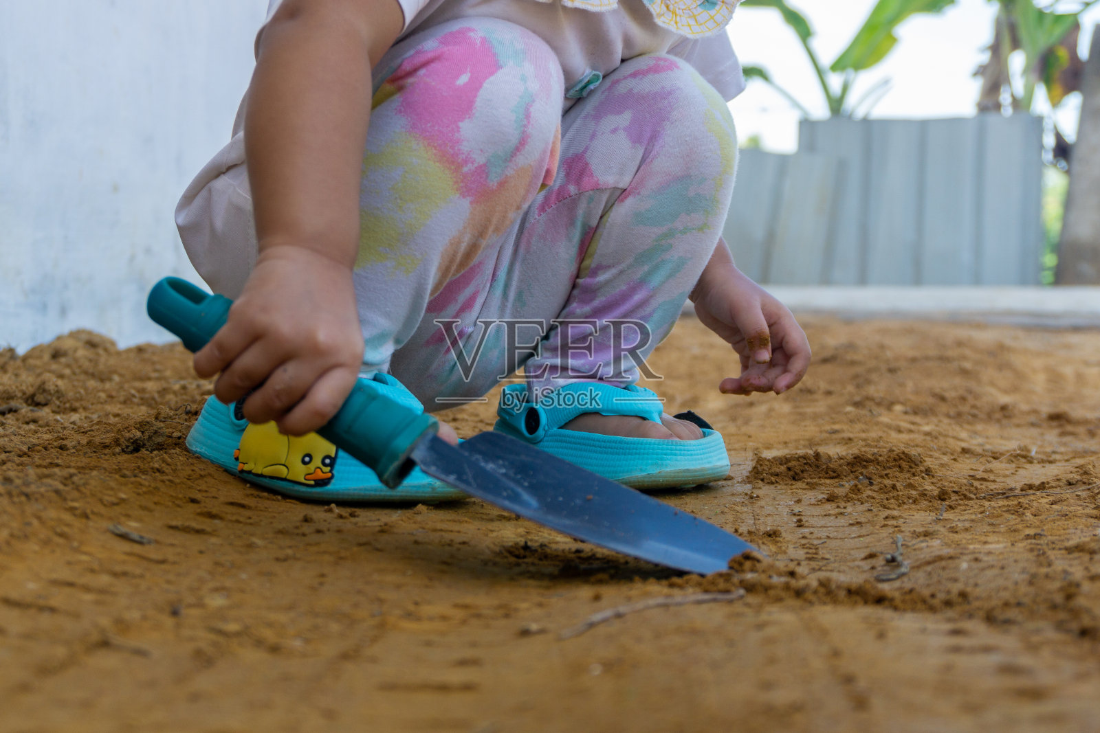 孩子学习园艺，种植和培育。小女孩拿着花园铲子照片摄影图片