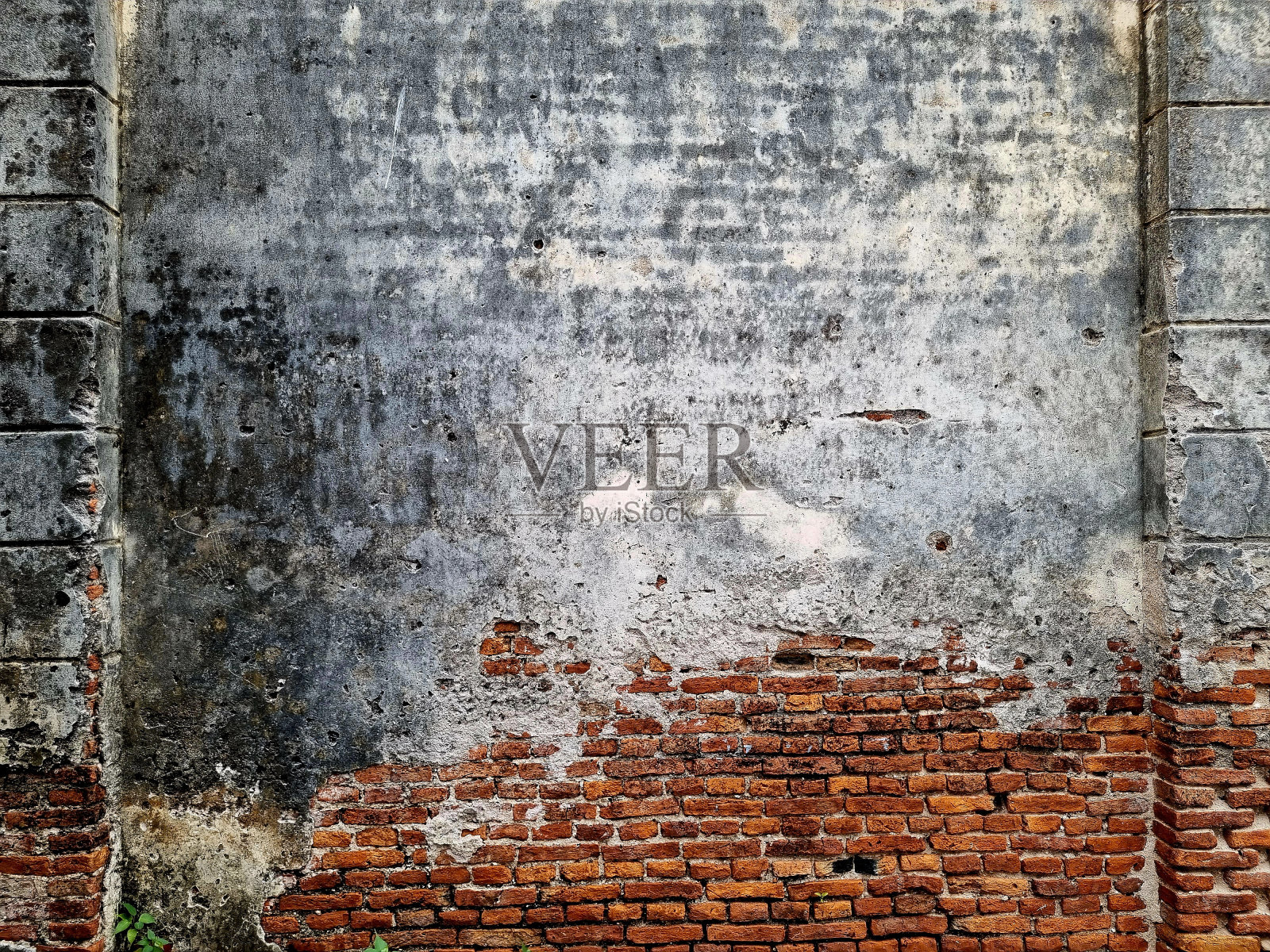 背景照片摄影图片