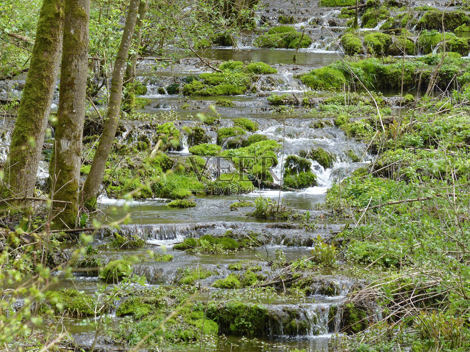 春天凝灰岩流照片摄影图片
