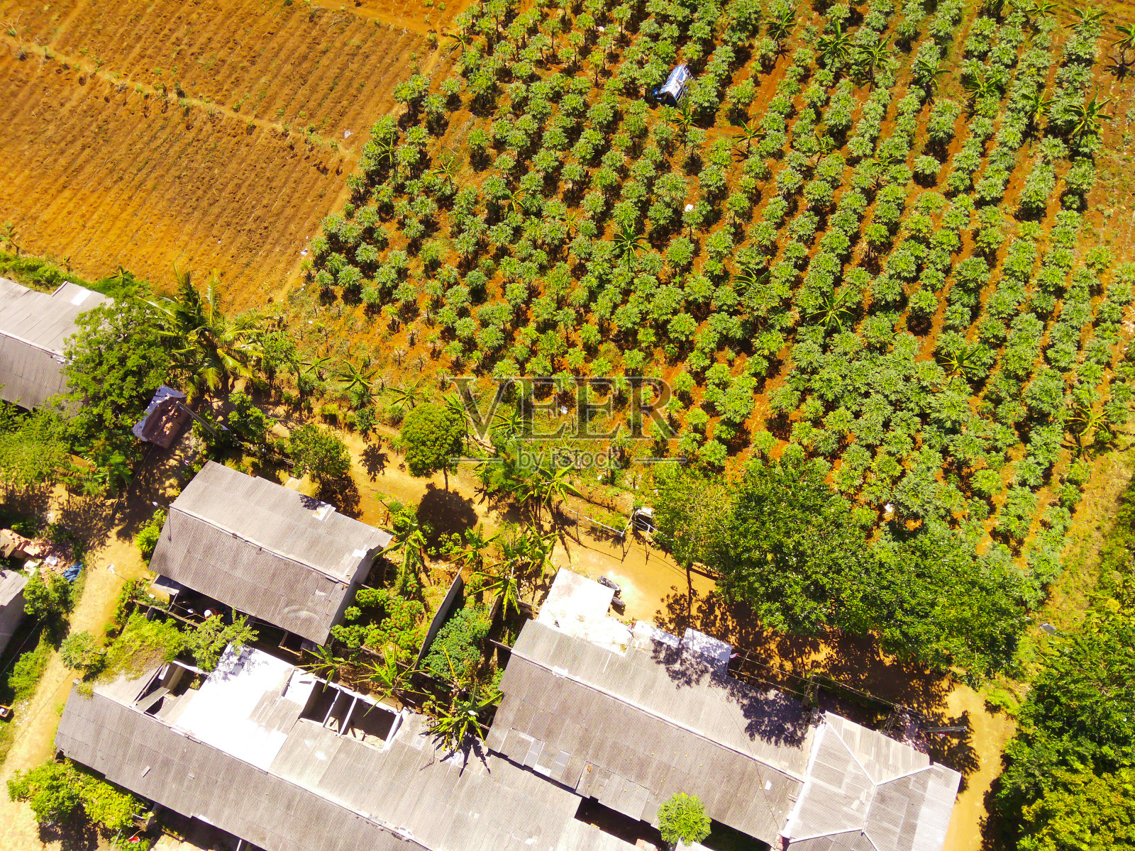 在定居点边缘的菜地鸟瞰图照片摄影图片