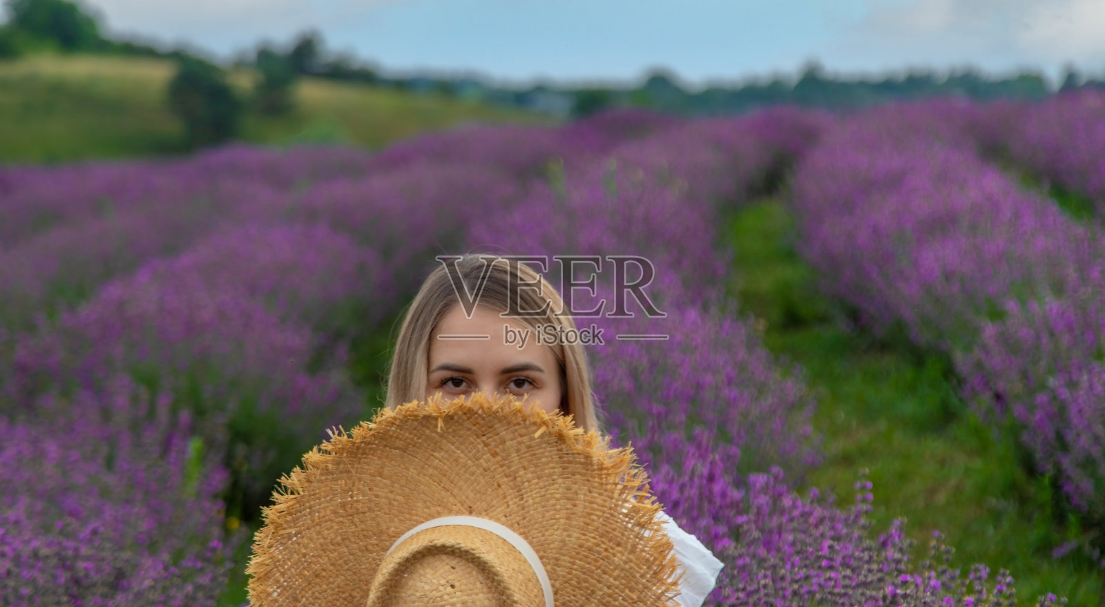 女孩在薰衣草地里休息。有选择性的重点照片摄影图片