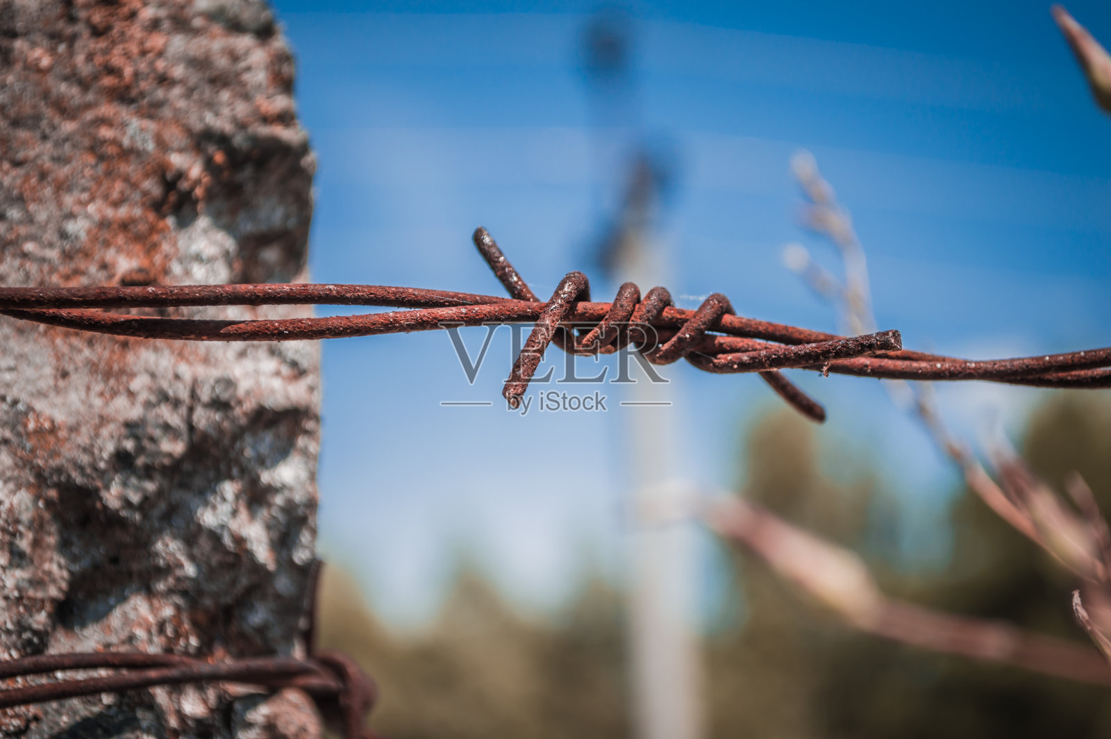 宏观上有刺的生锈铁丝照片摄影图片