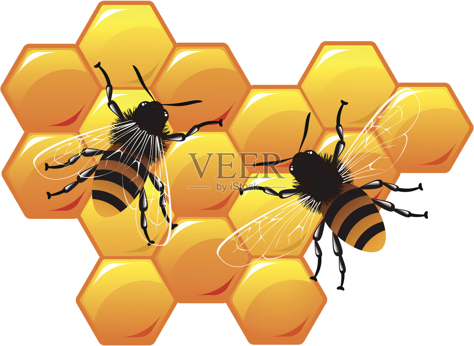 工作的蜜蜂插画图片素材