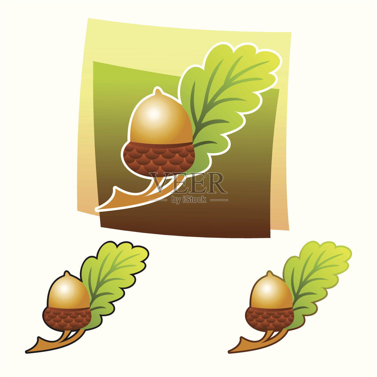 橡子插画图片素材