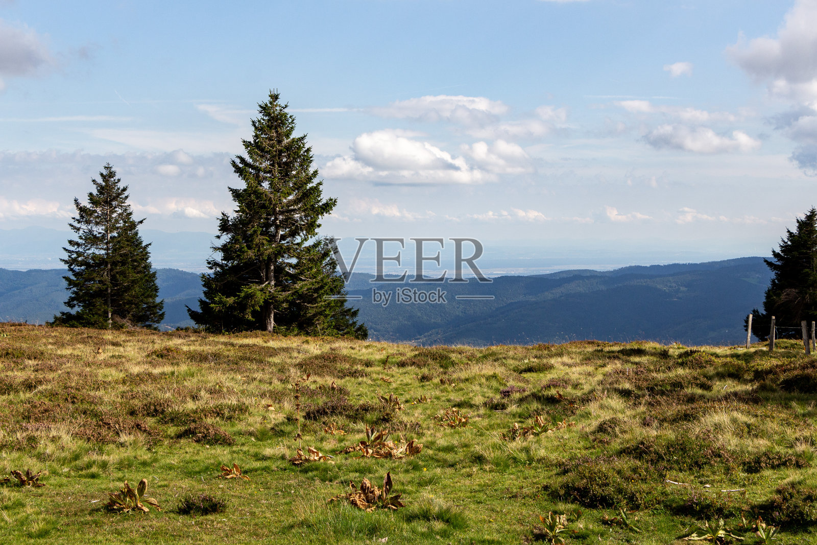 徒步穿越法国孚日，上莱茵省照片摄影图片