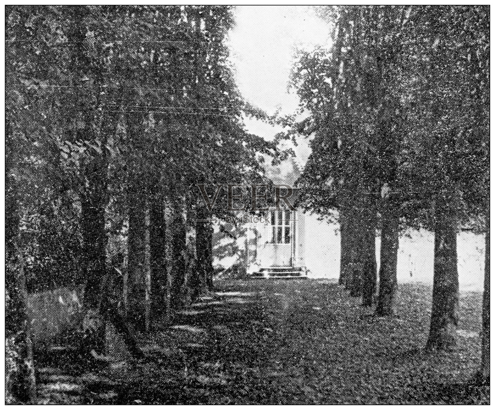 巴黎和法国的古董旅行照片:拿破仑的书房和散步单人纸牌游戏插画图片素材